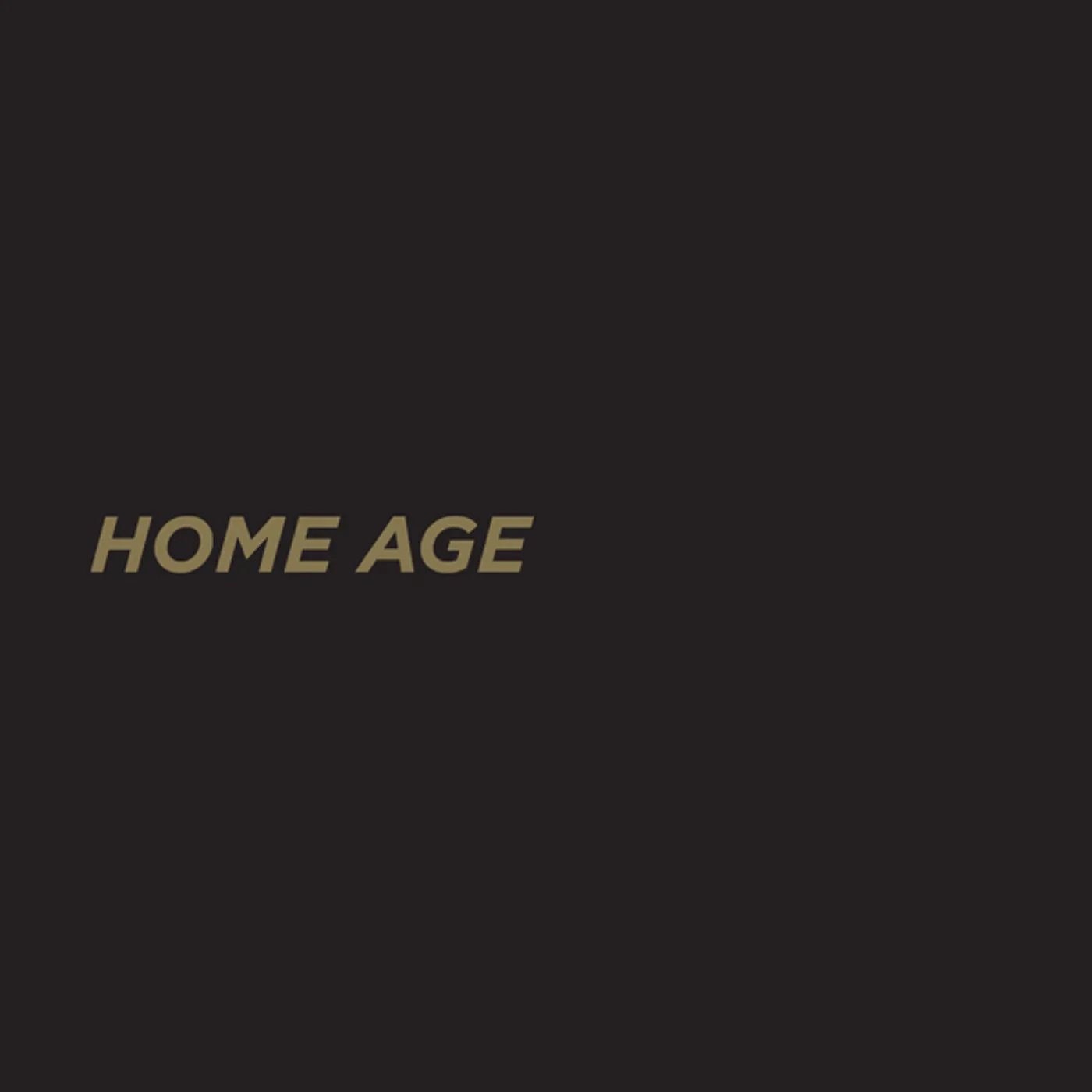 ELEH Home Age Vinyl Record