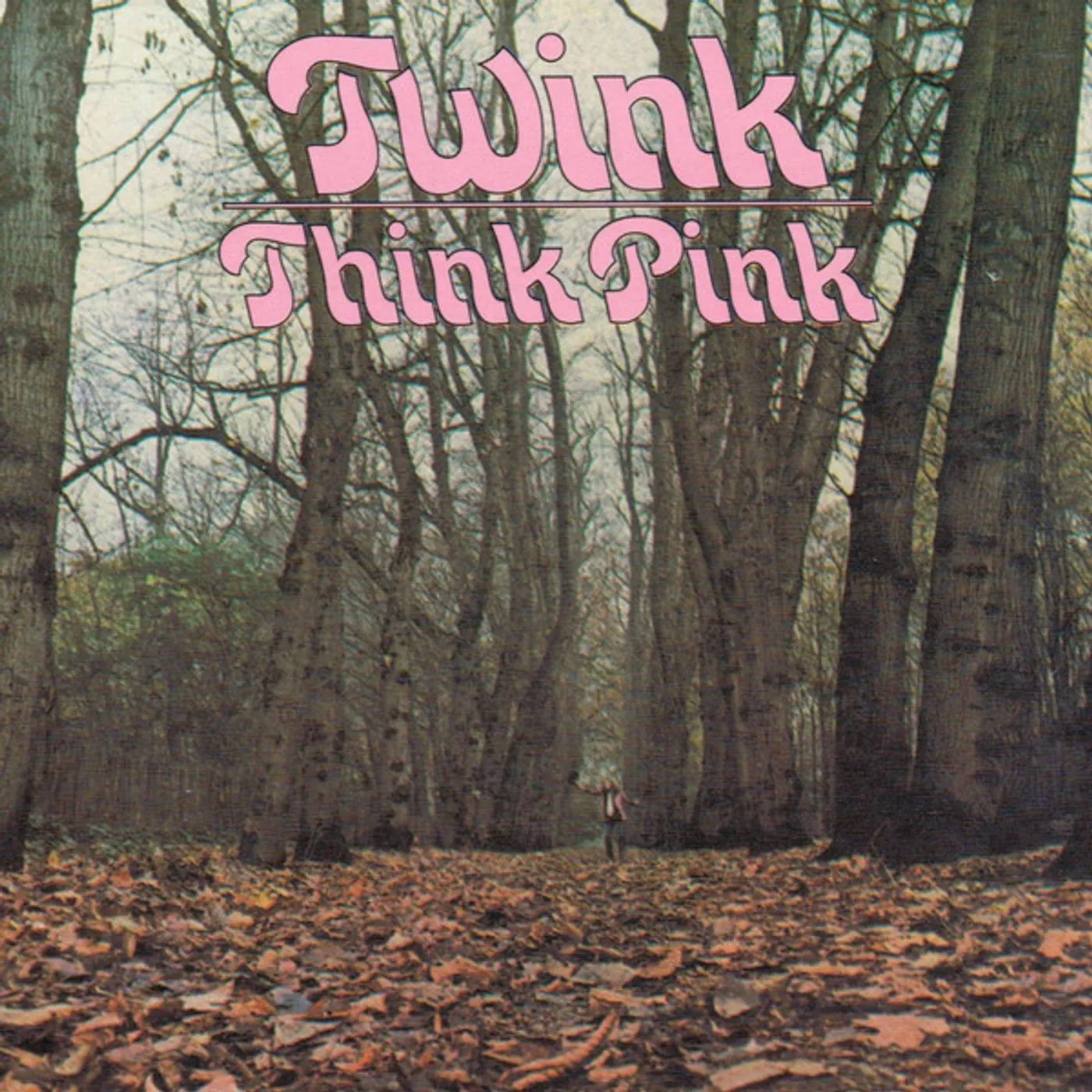 Twink Think Pink Vinyl Record