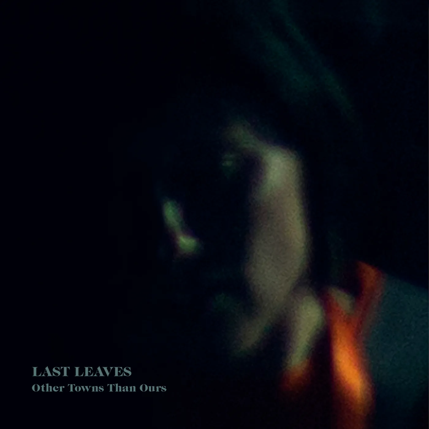 Last Leaves OTHER TOWNS THAN OURS CD