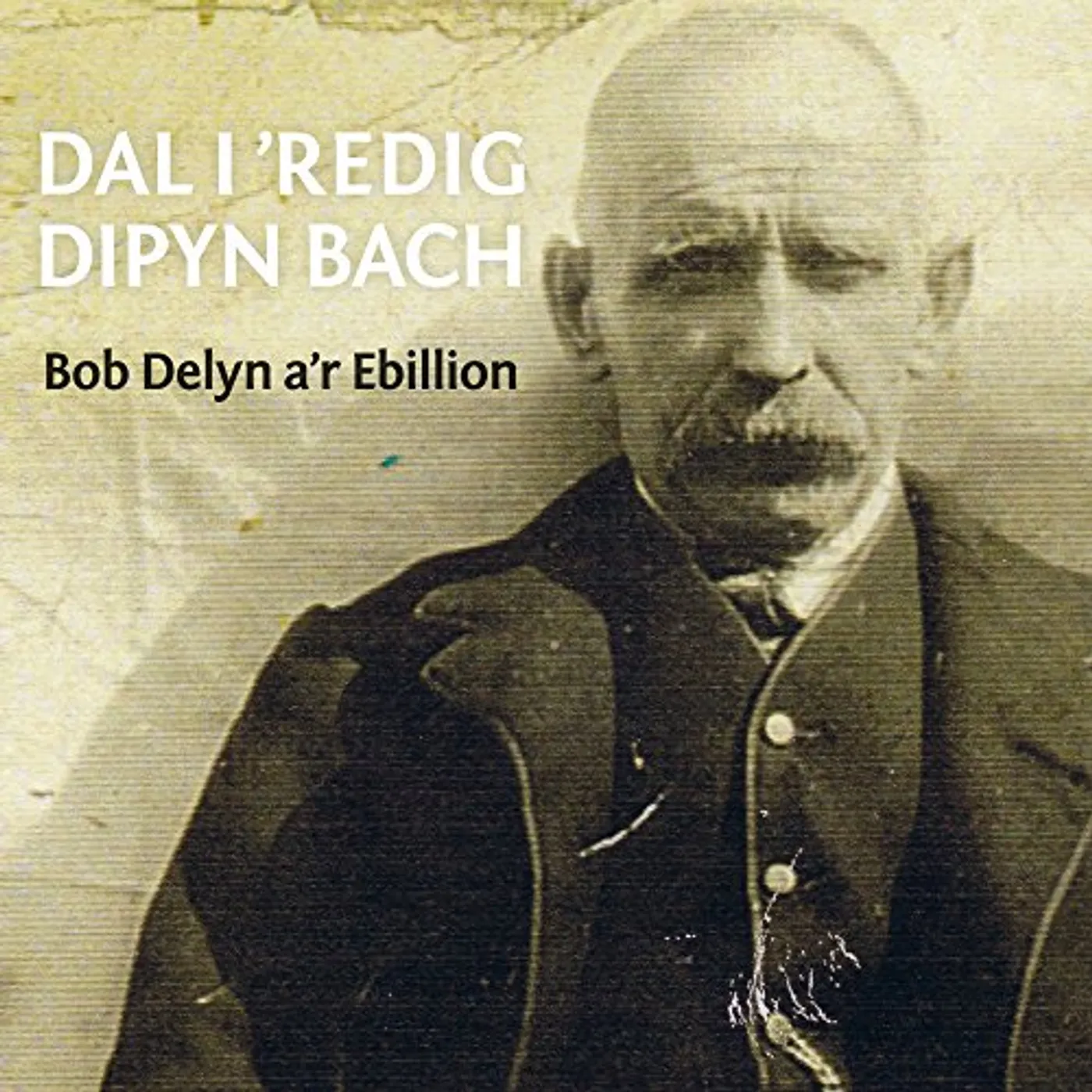 Bob Delyn A'R Ebillion DAL I 'REDIG DIPYN BACH CD