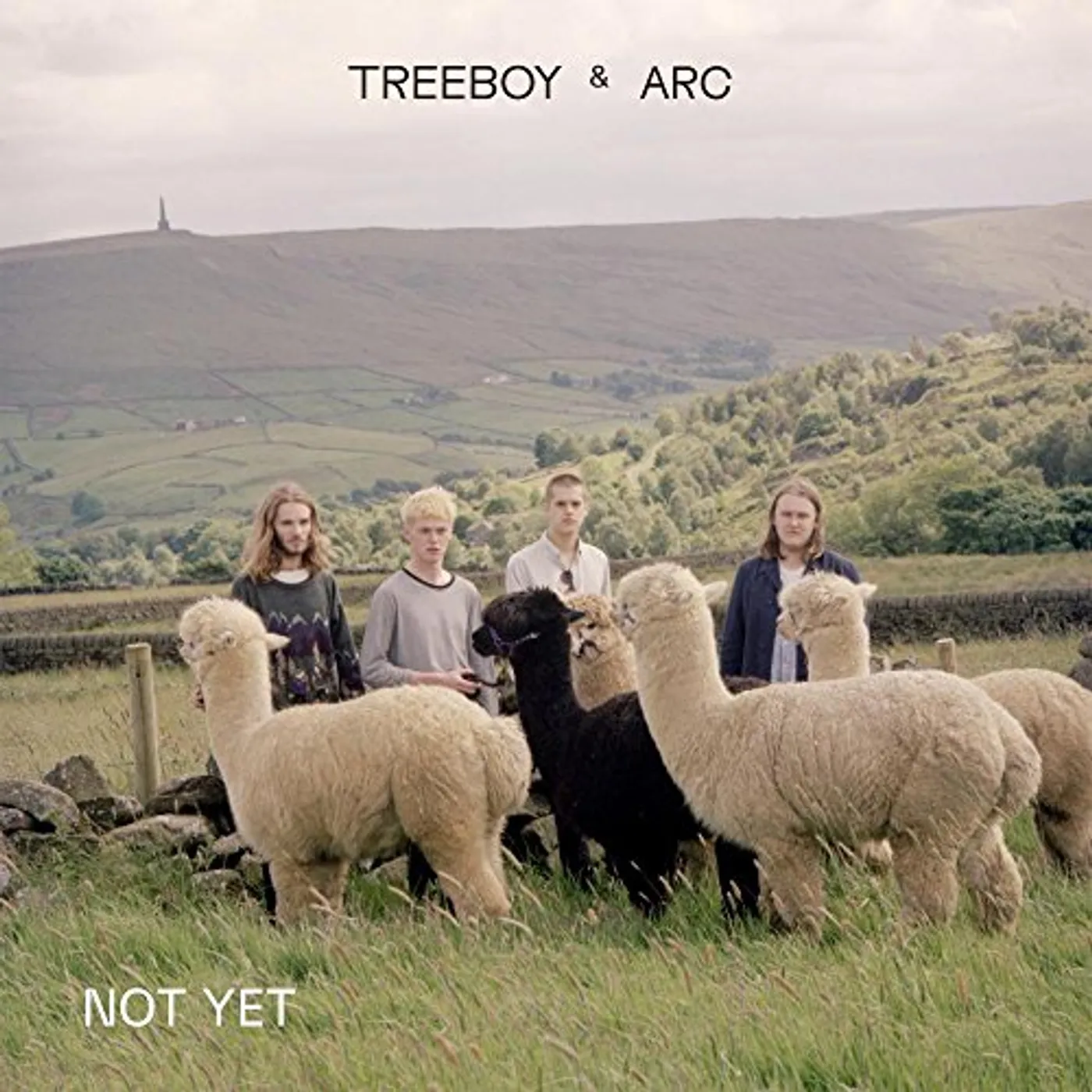 Treeboy & Arc NOT YET / MERGE Vinyl Record