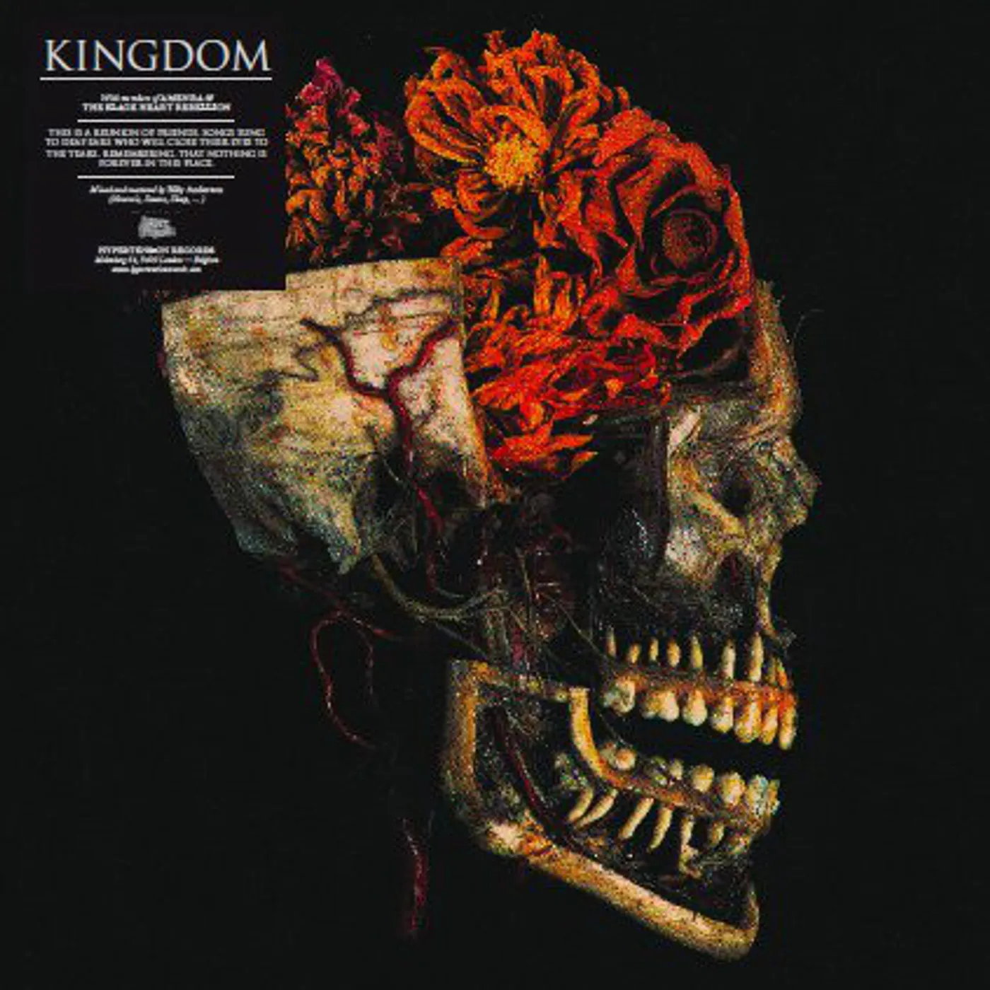 Kingdom Hemeltraan Vinyl Record