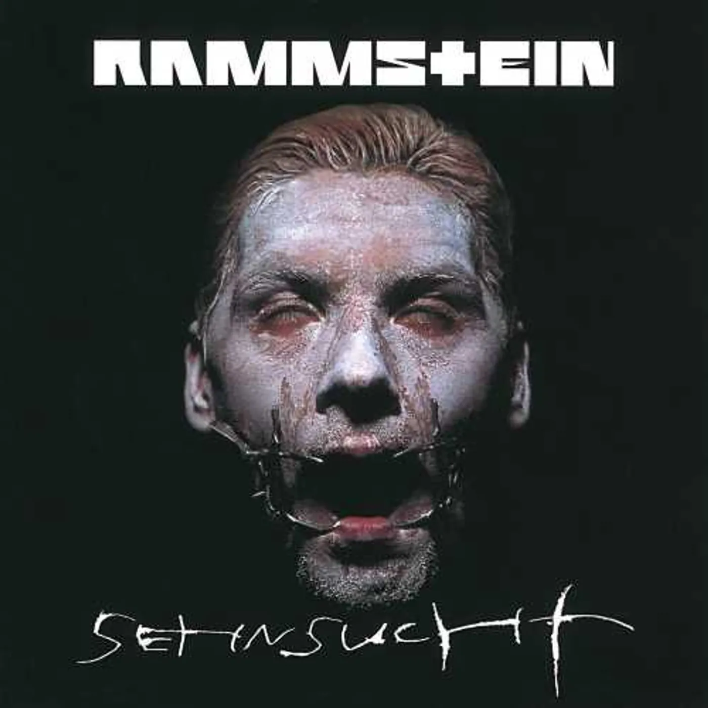 Rammstein Sehnsucht Vinyl Record