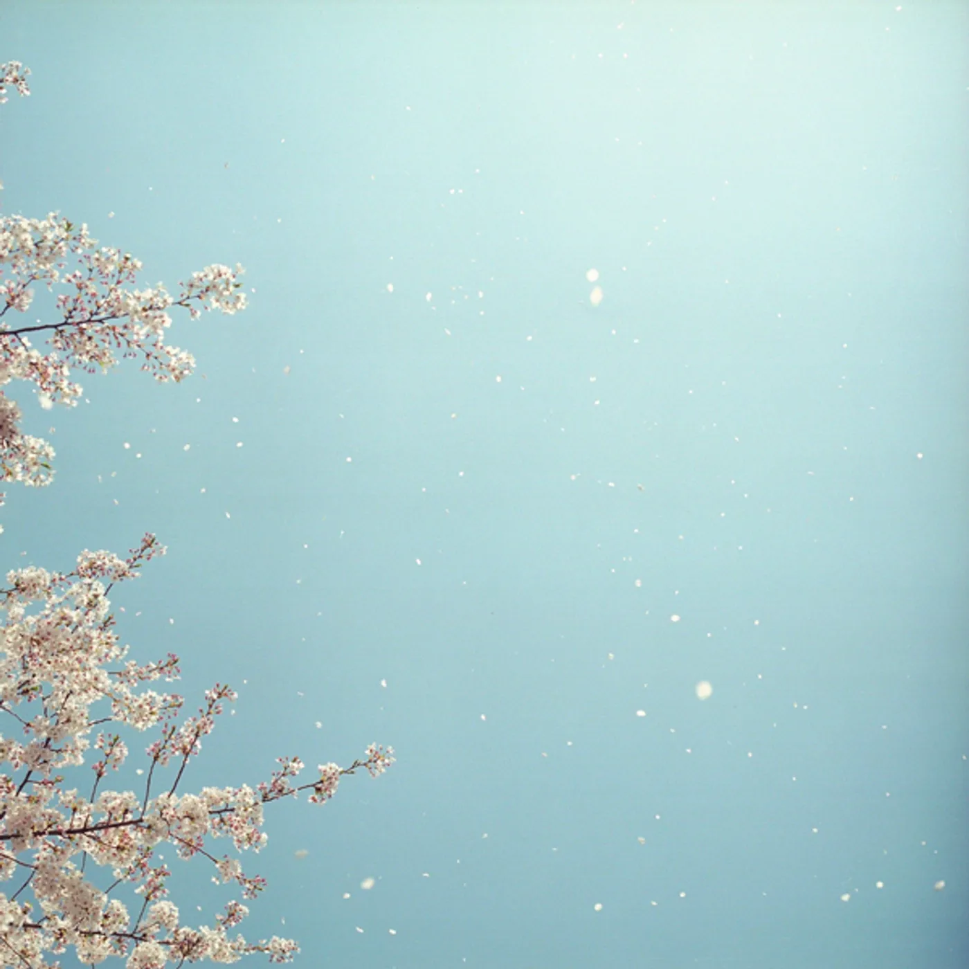 ghost and tape VAR CD