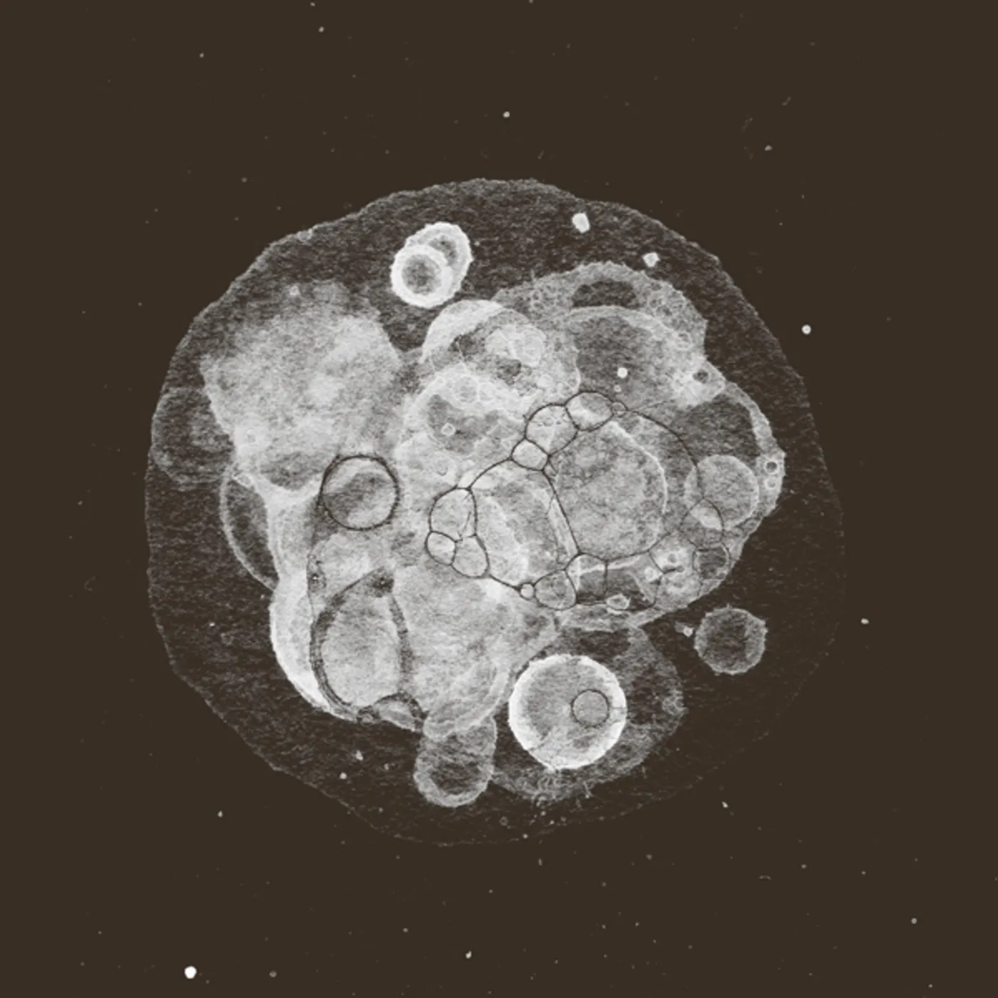 Rafael Toral MOON FIELD CD