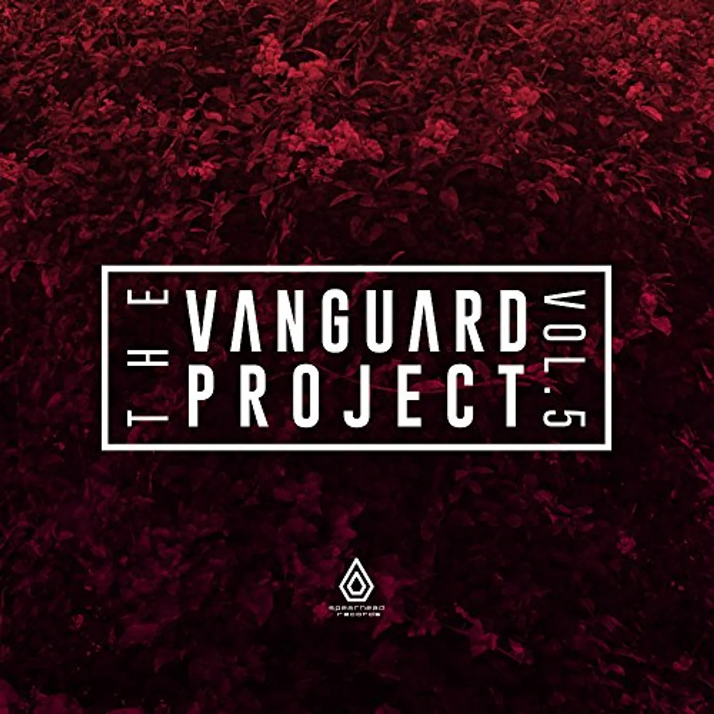 The Vanguard Project VOLUME 5 Vinyl Record