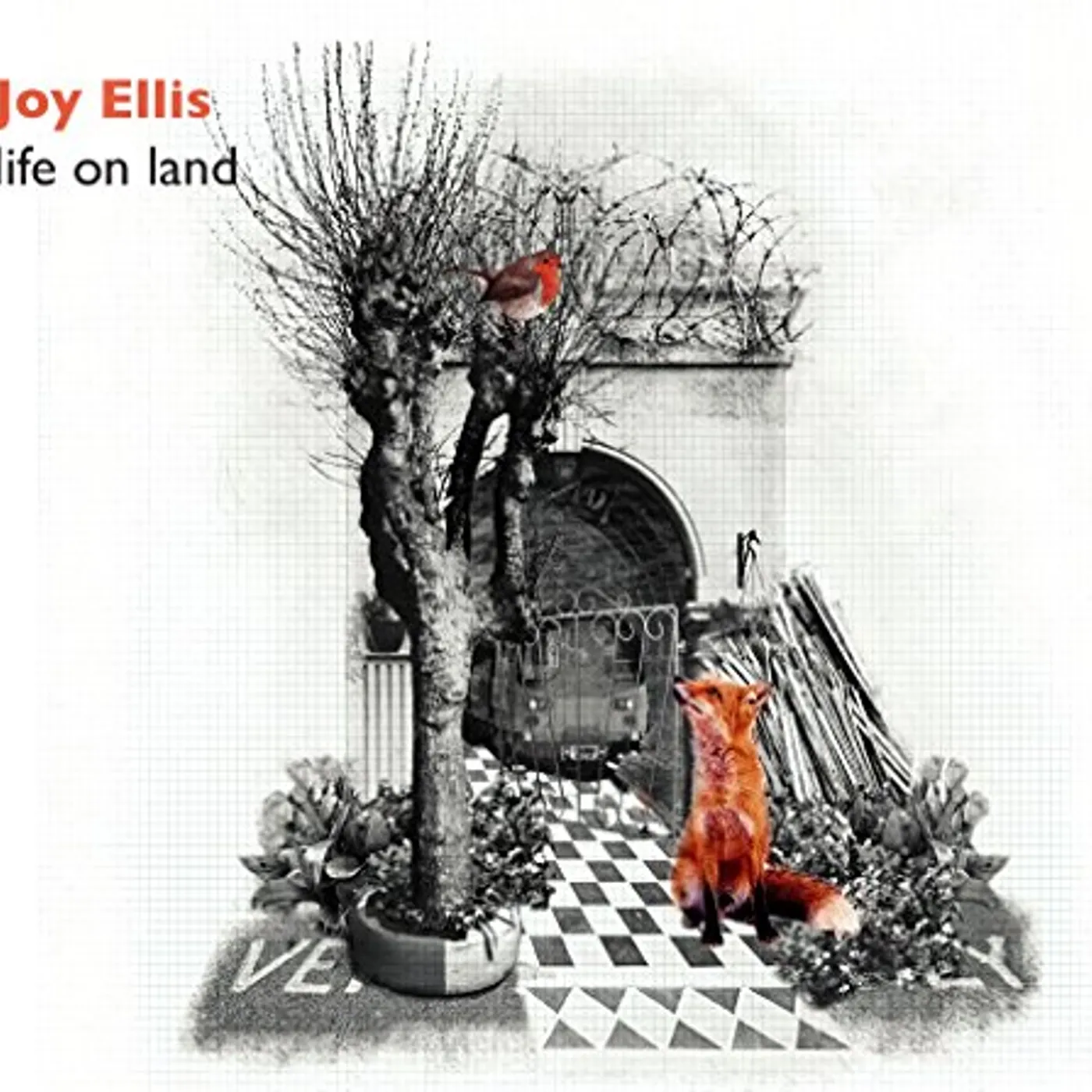 Joy Ellis LIFE ON LAND CD