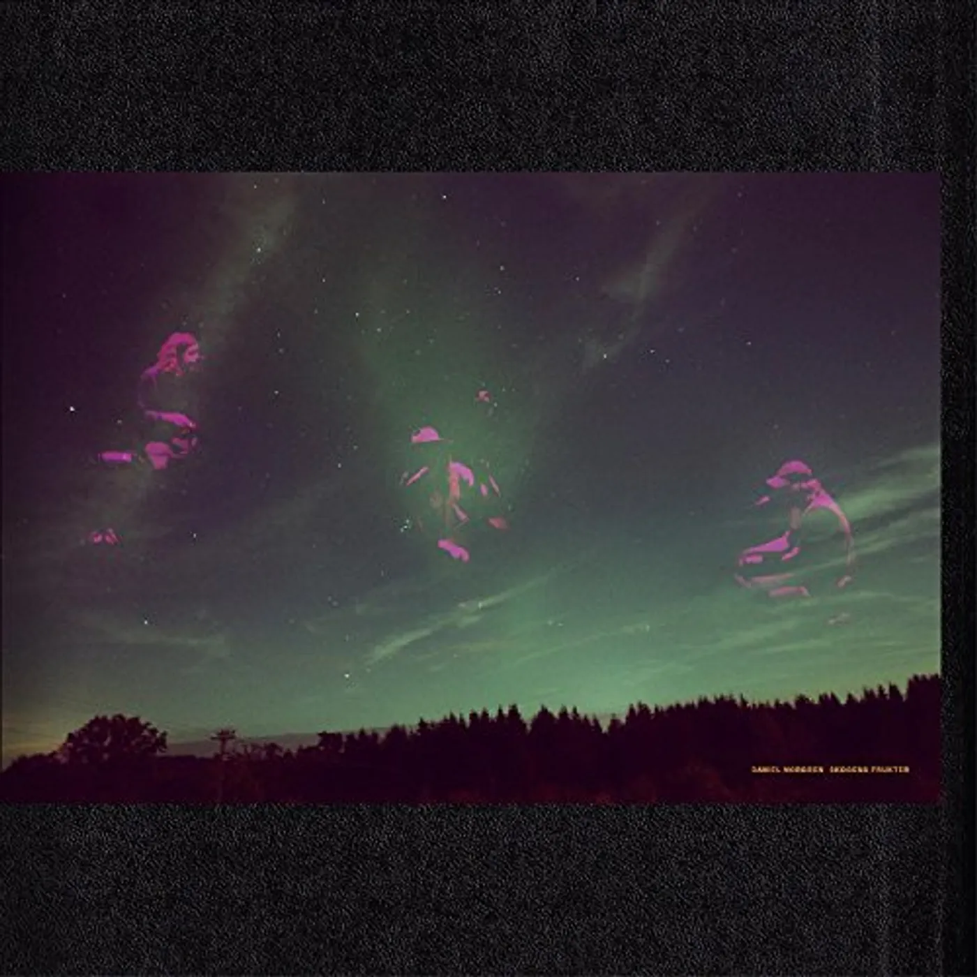 Daniel Norgren Skogens Frukter Vinyl Record