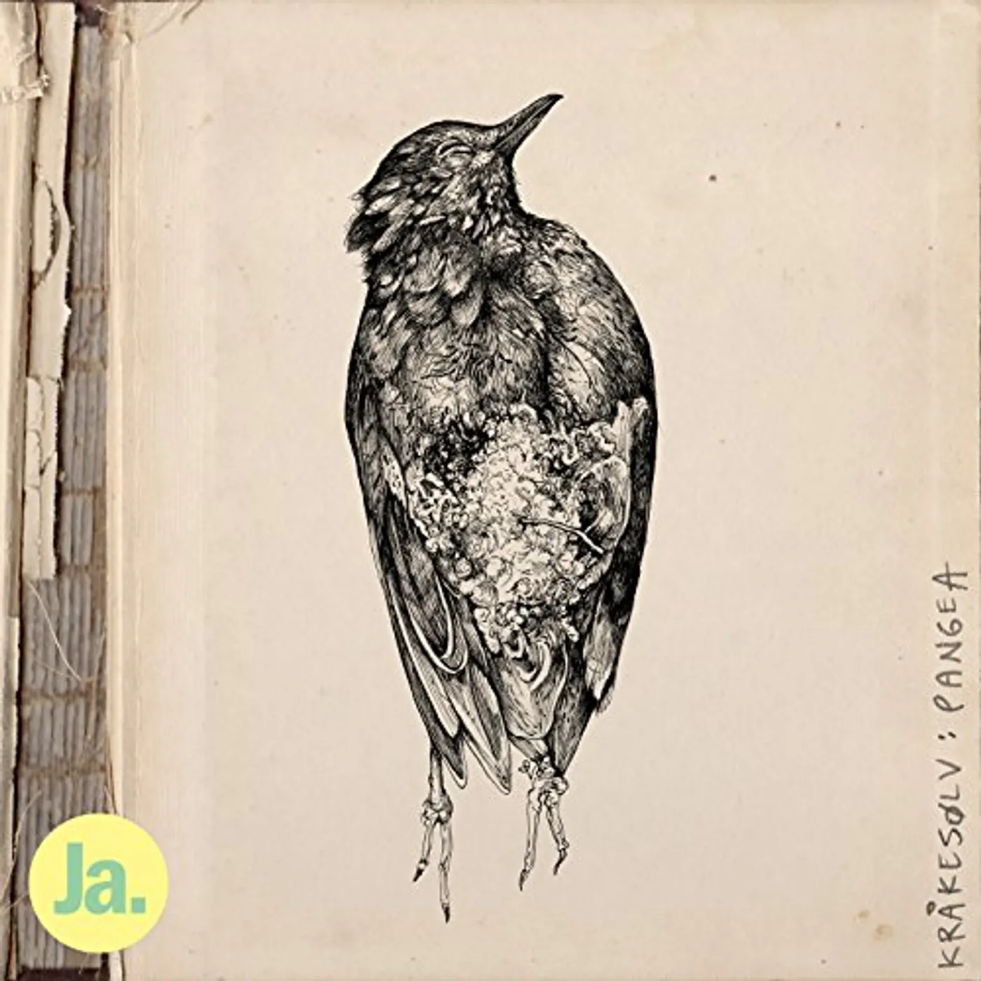 Krakesolv Pangea Vinyl Record