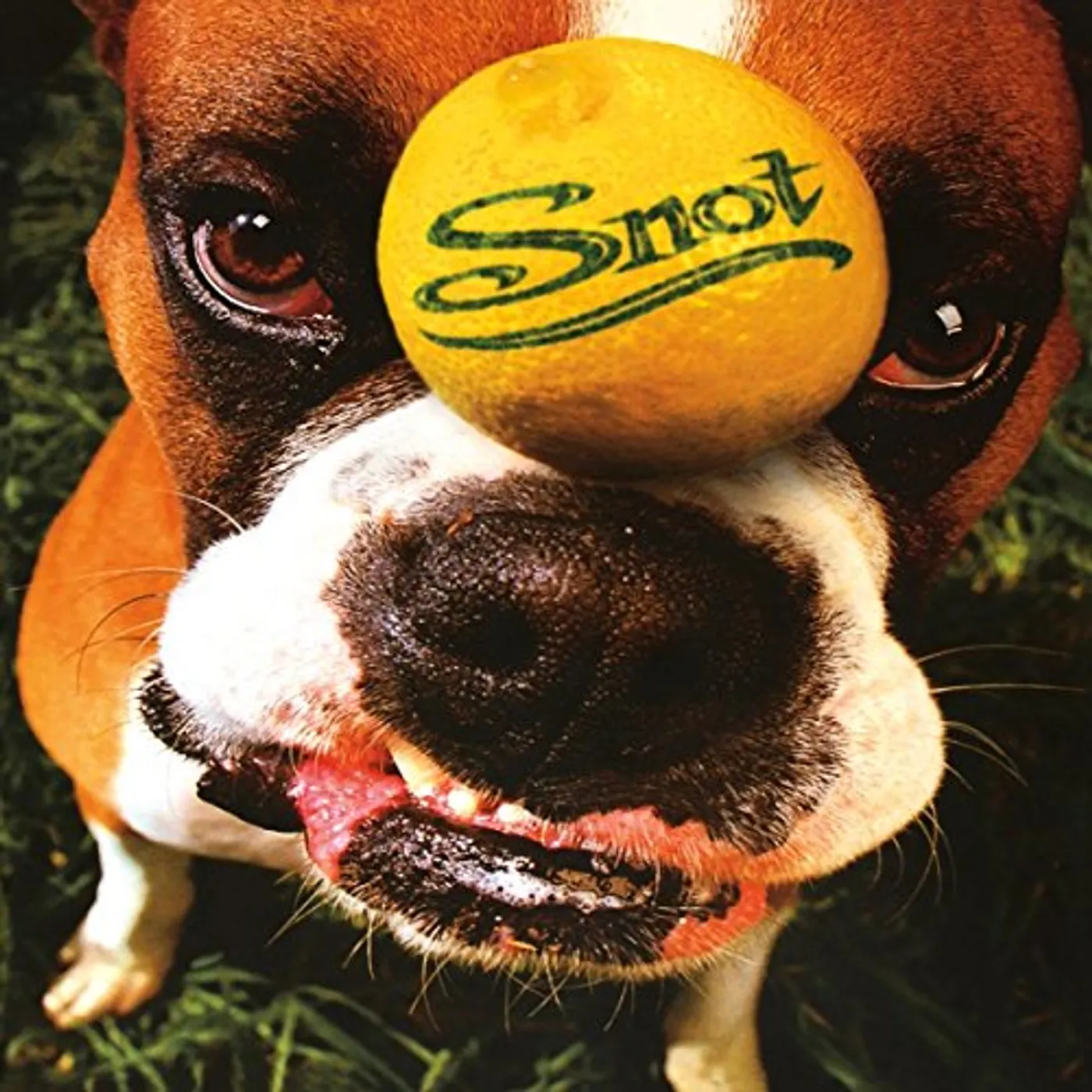 Snot GET SOME (180G) Vinyl Record