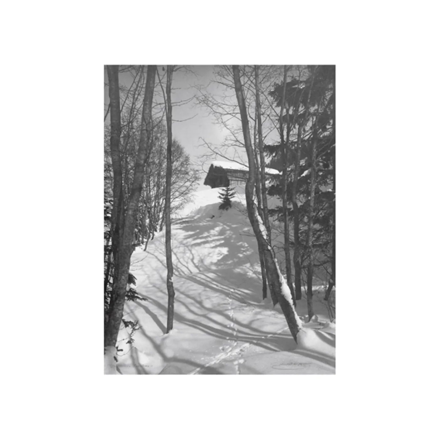 DJ Richard Path of Ruin Vinyl Record