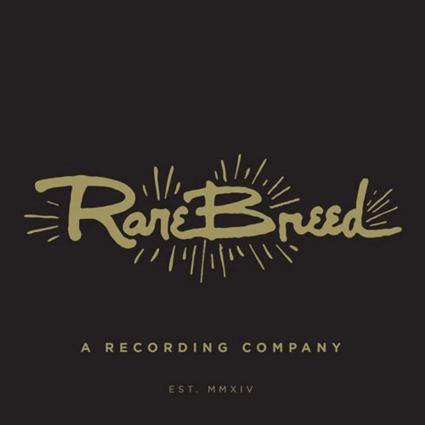 Chris DeMakes RARE BREED #4: FLEXI Vinyl Record