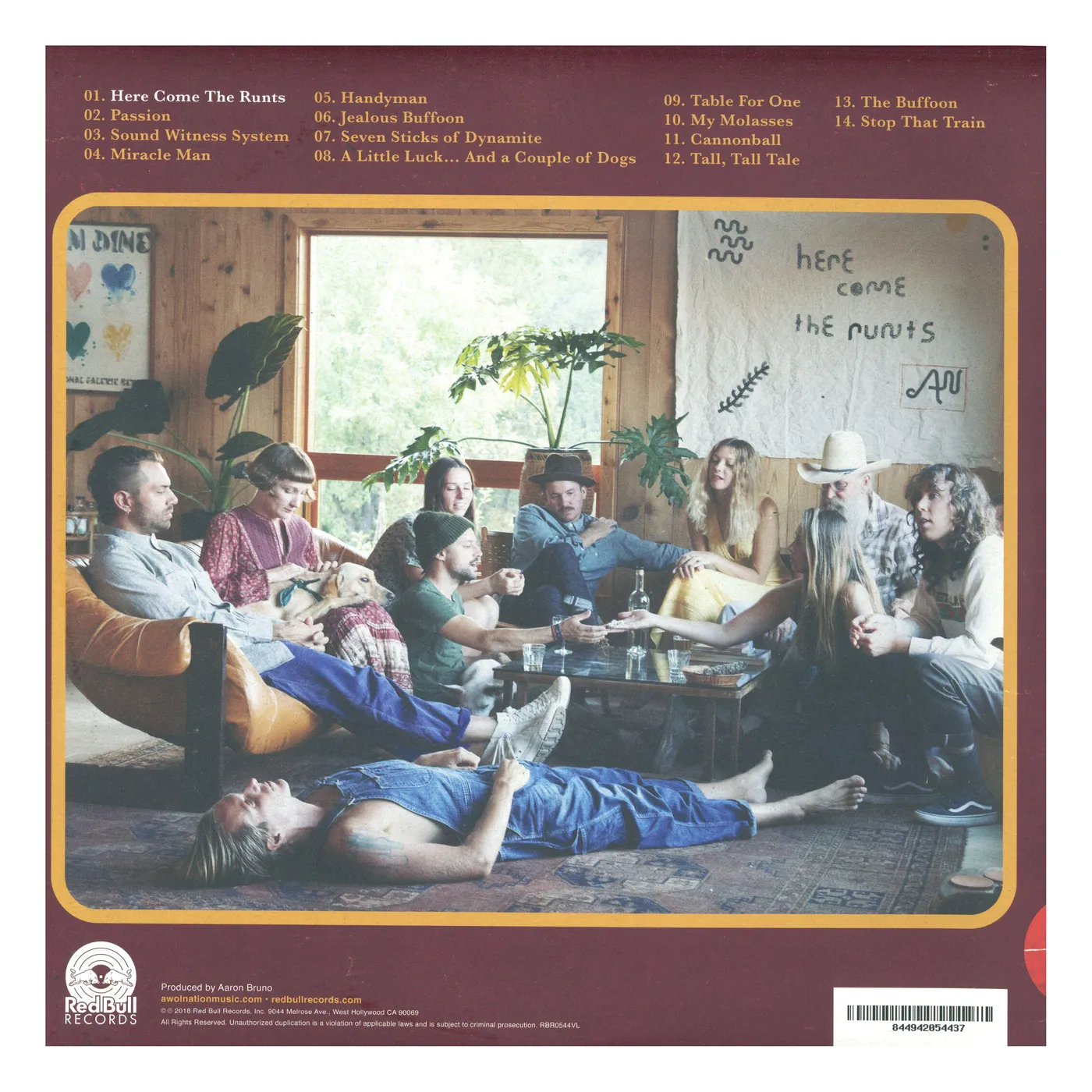 AWOLNATION Here Come The Runts Vinyl Record