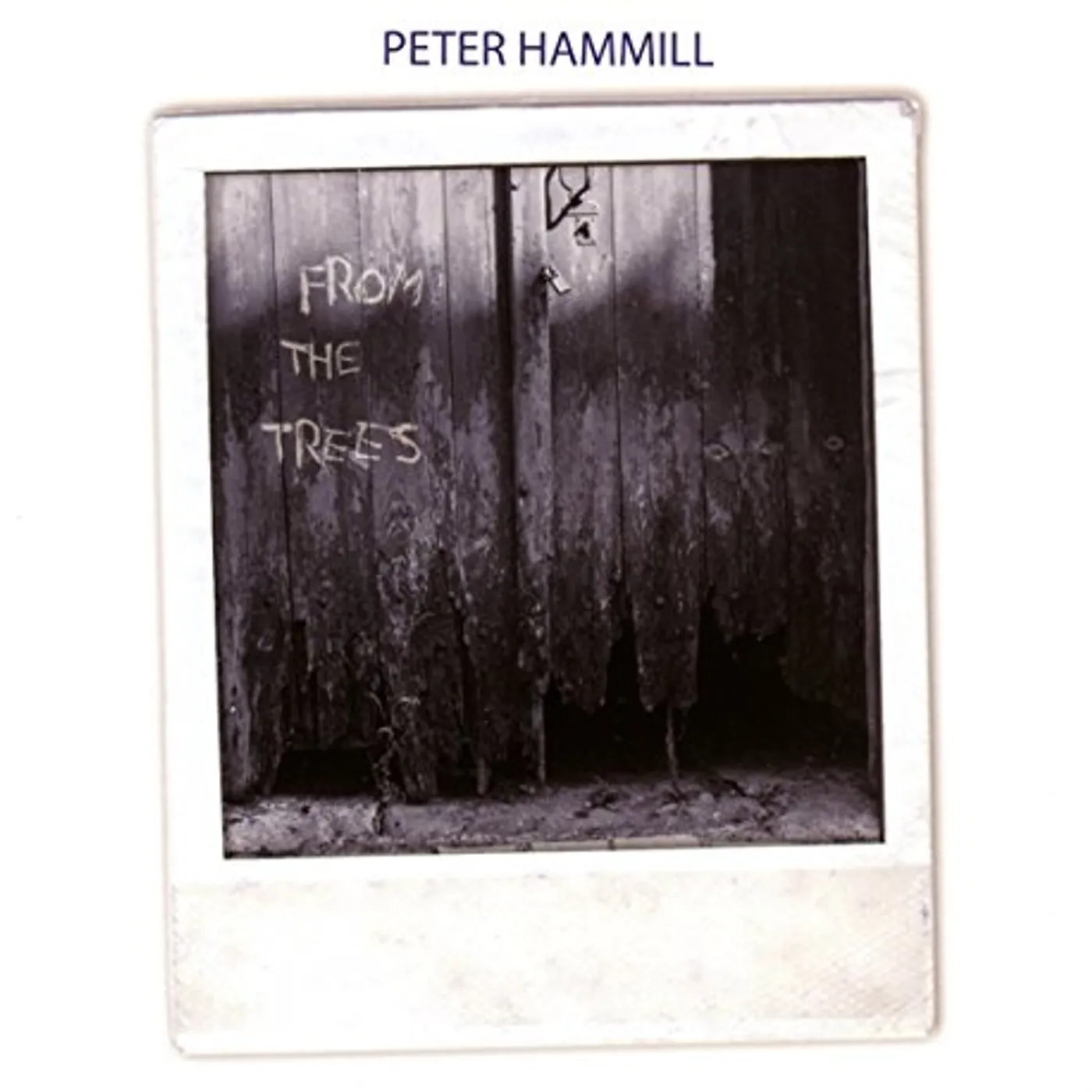 Peter Hammill FROM THE TREES CD