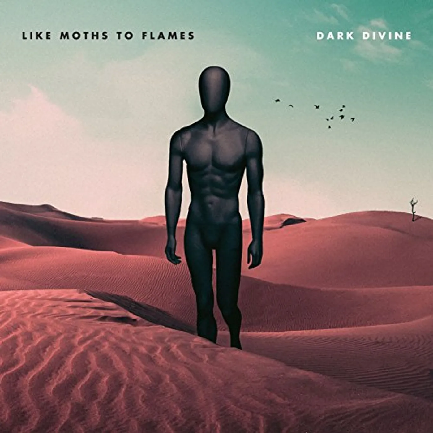 Like Moths To Flames DARK DIVINE CD