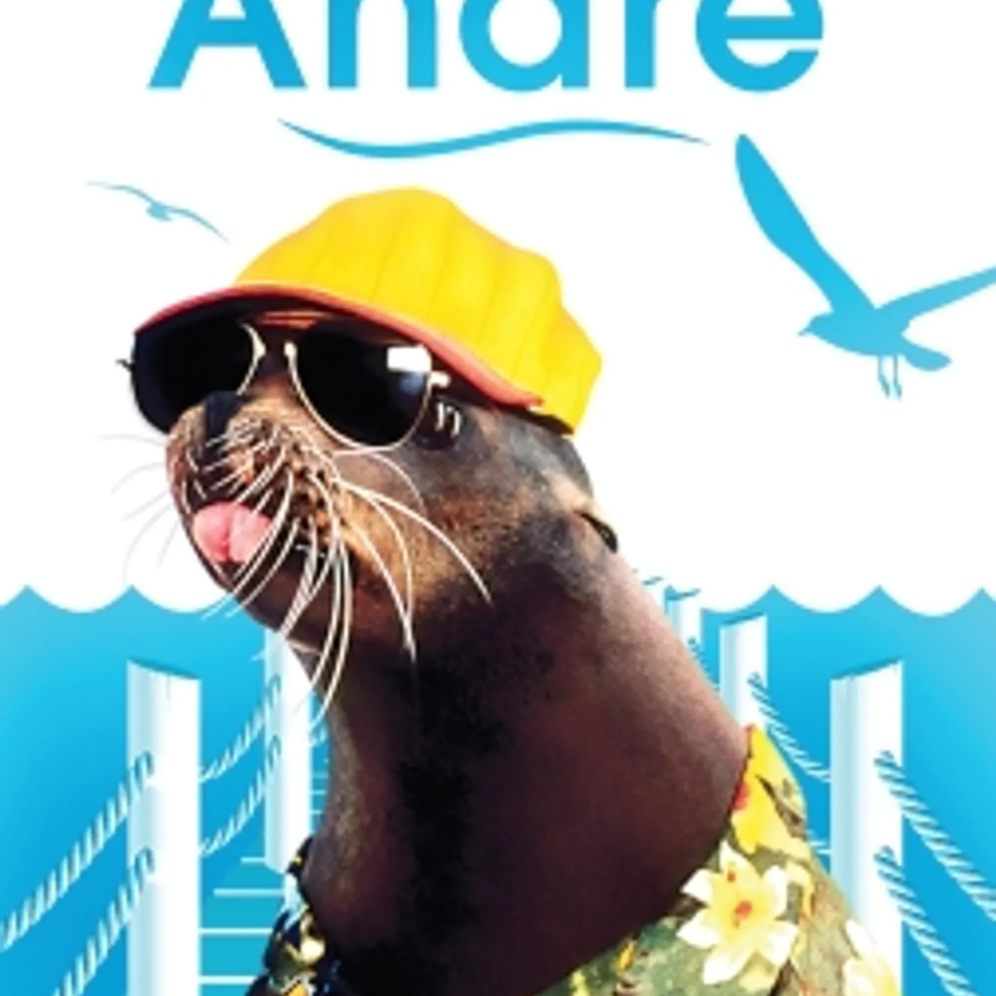 Andre DVD