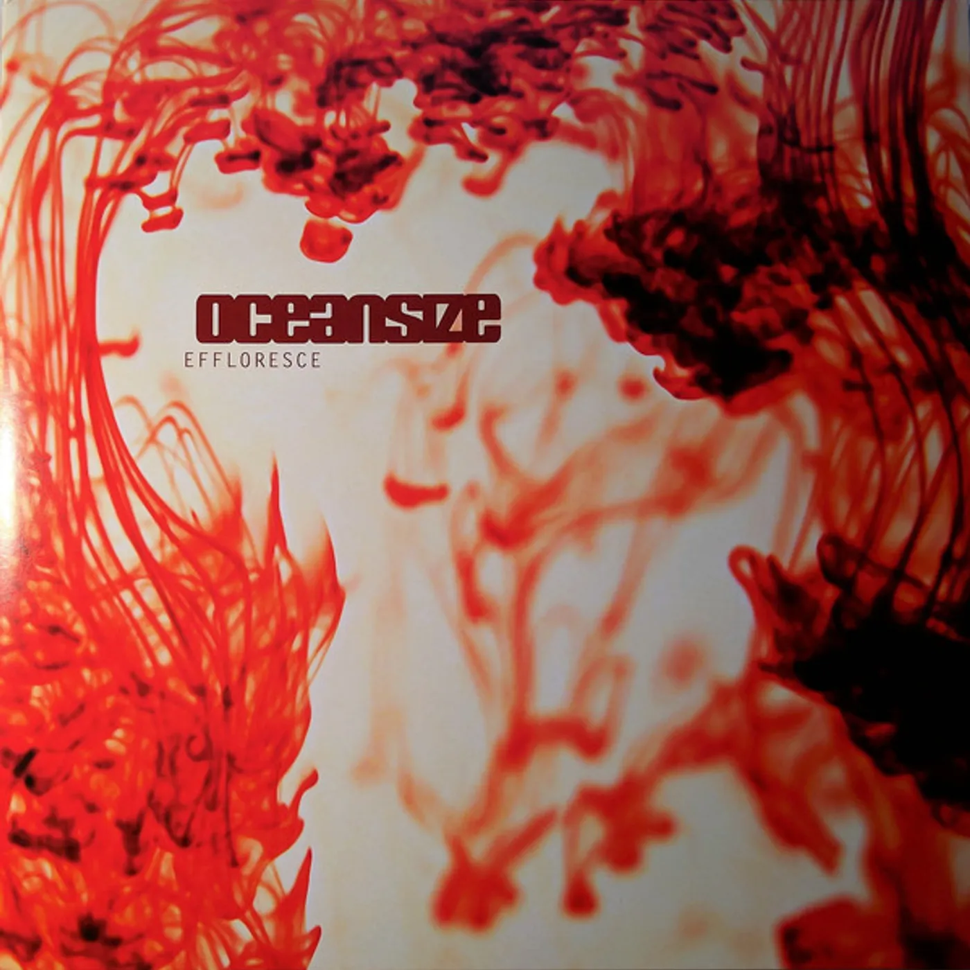 Oceansize Effloresce Vinyl Record