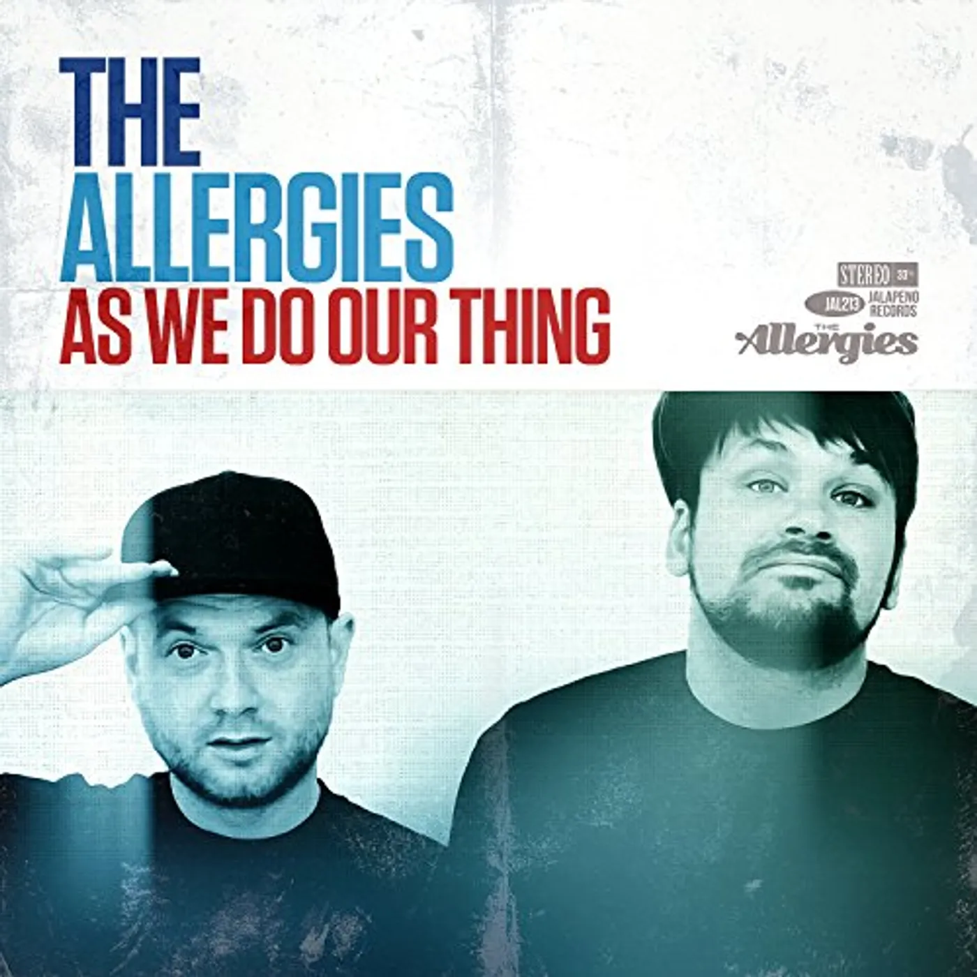 The Allergies AS WE DO OUR THING Vinyl Record