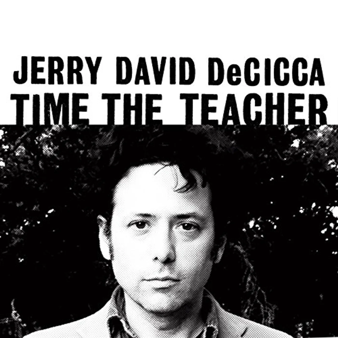 Jerry David DeCicca Time the Teacher Vinyl Record