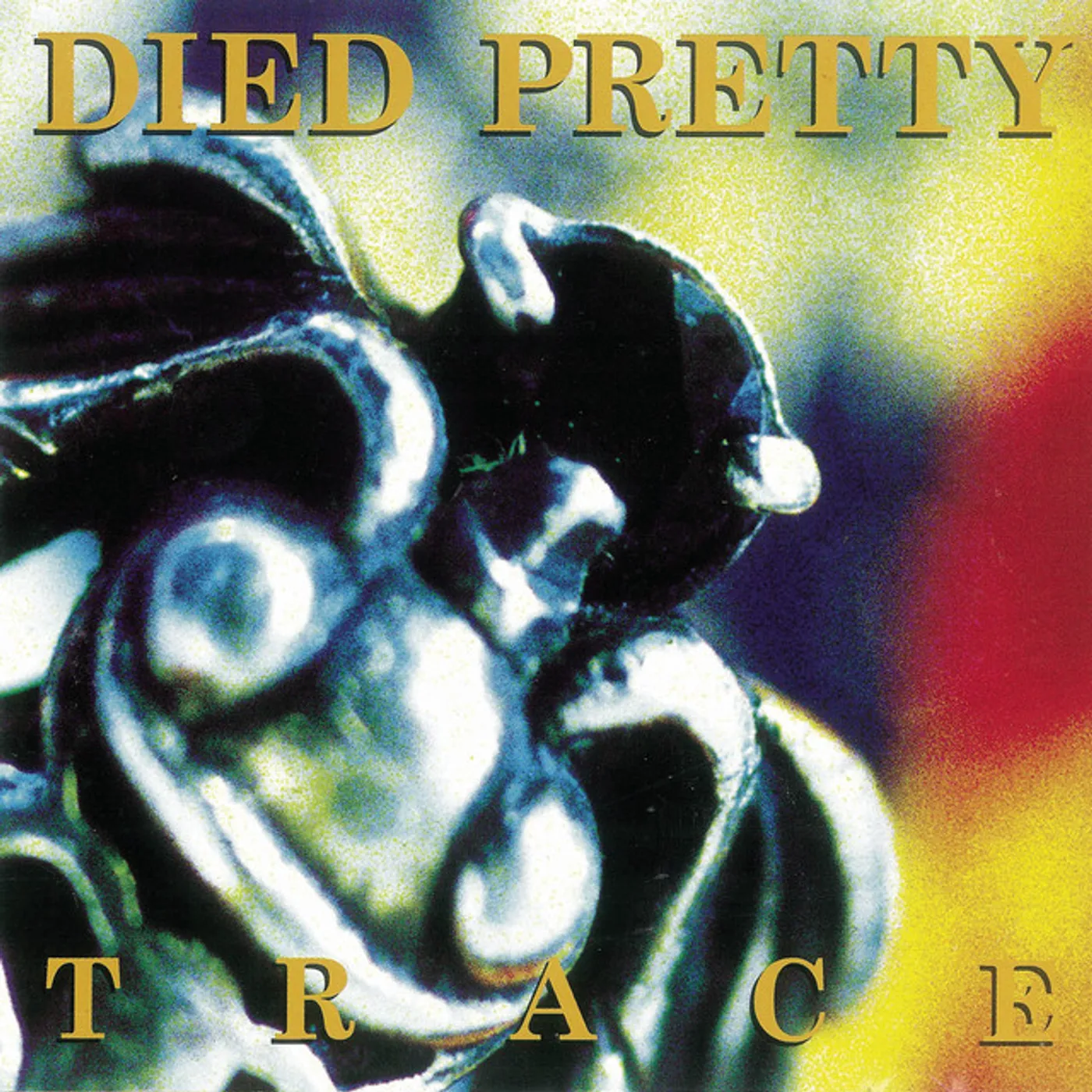 Died Pretty Trace Vinyl Record