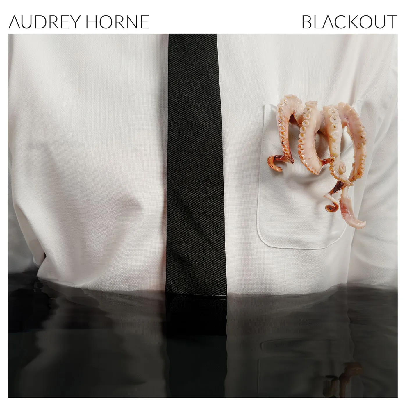 Audrey Horne BLACKOUT CD