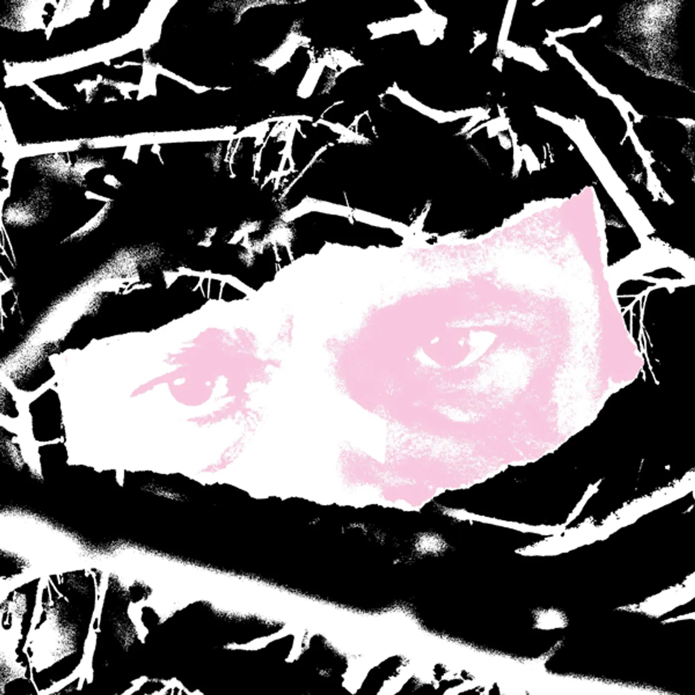 Biome Fargo Vinyl Record