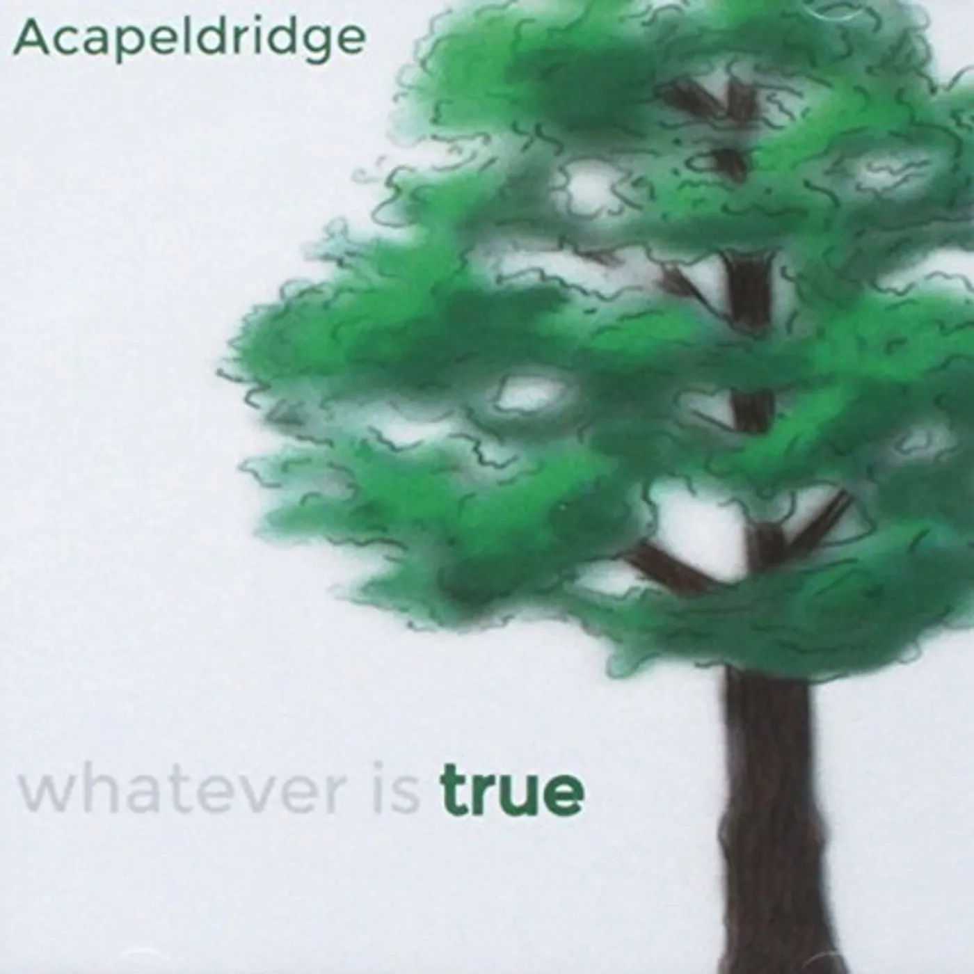 Acapeldridge WHATEVER IS TRUE CD