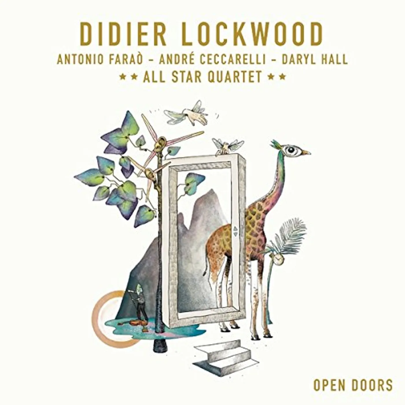 Didier Lockwood Open Doors Vinyl Record