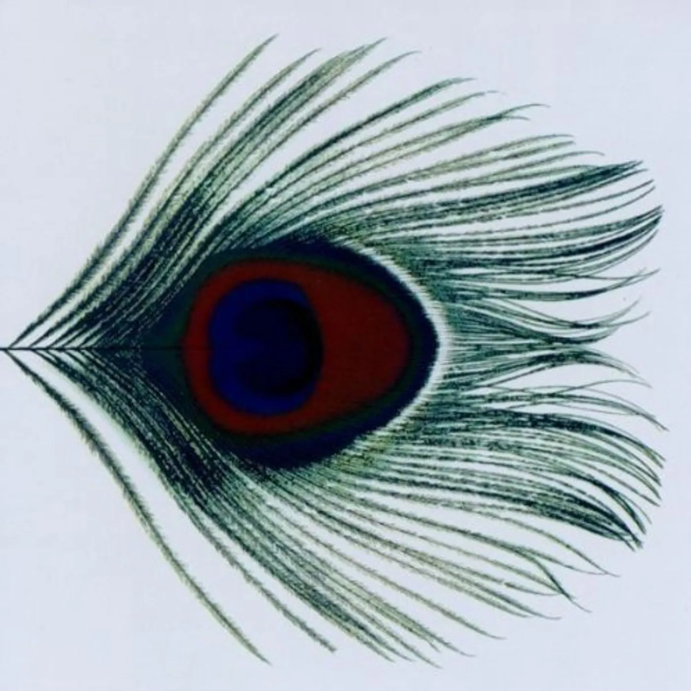 XTC APPLE VENUS VOLUME 1 CD