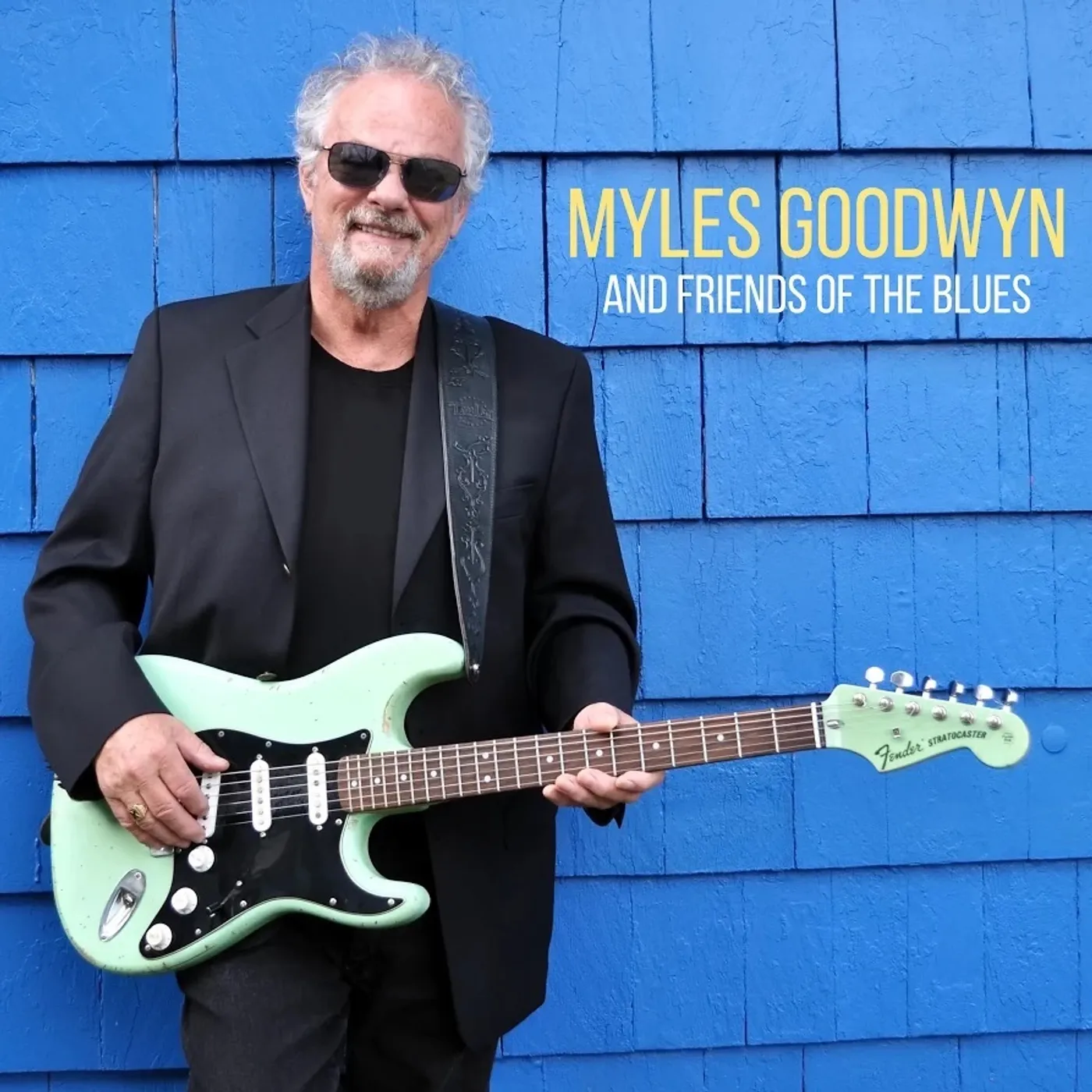 Myles Goodwyn And Friends Of The Blues Vinyl Record