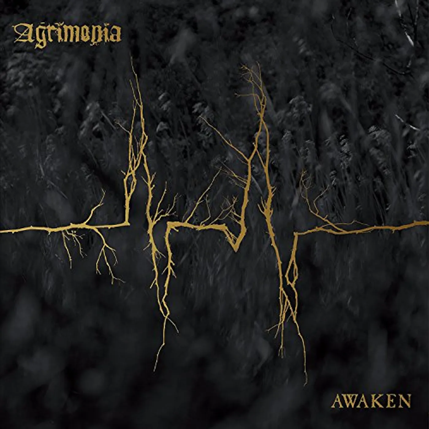 Agrimonia Awaken Vinyl Record