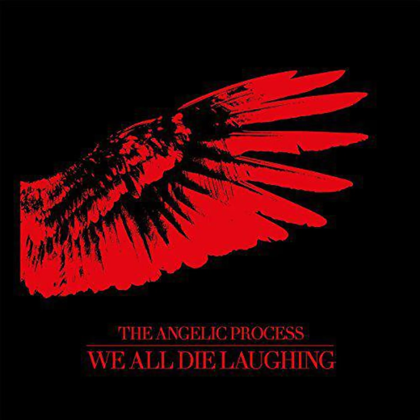The Angelic Process WE ALL DIE LAUGHING 6LP BOX SET Vinyl Record