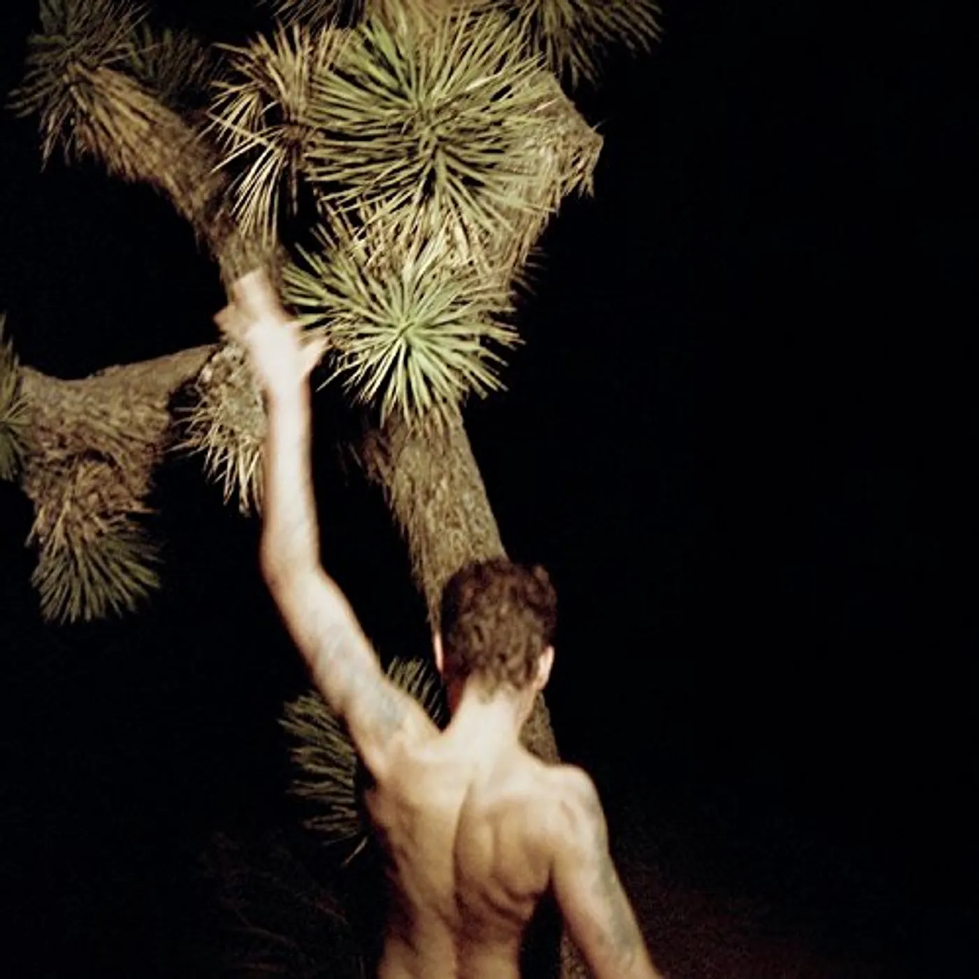 The Legendary Tigerman MISFIT CD