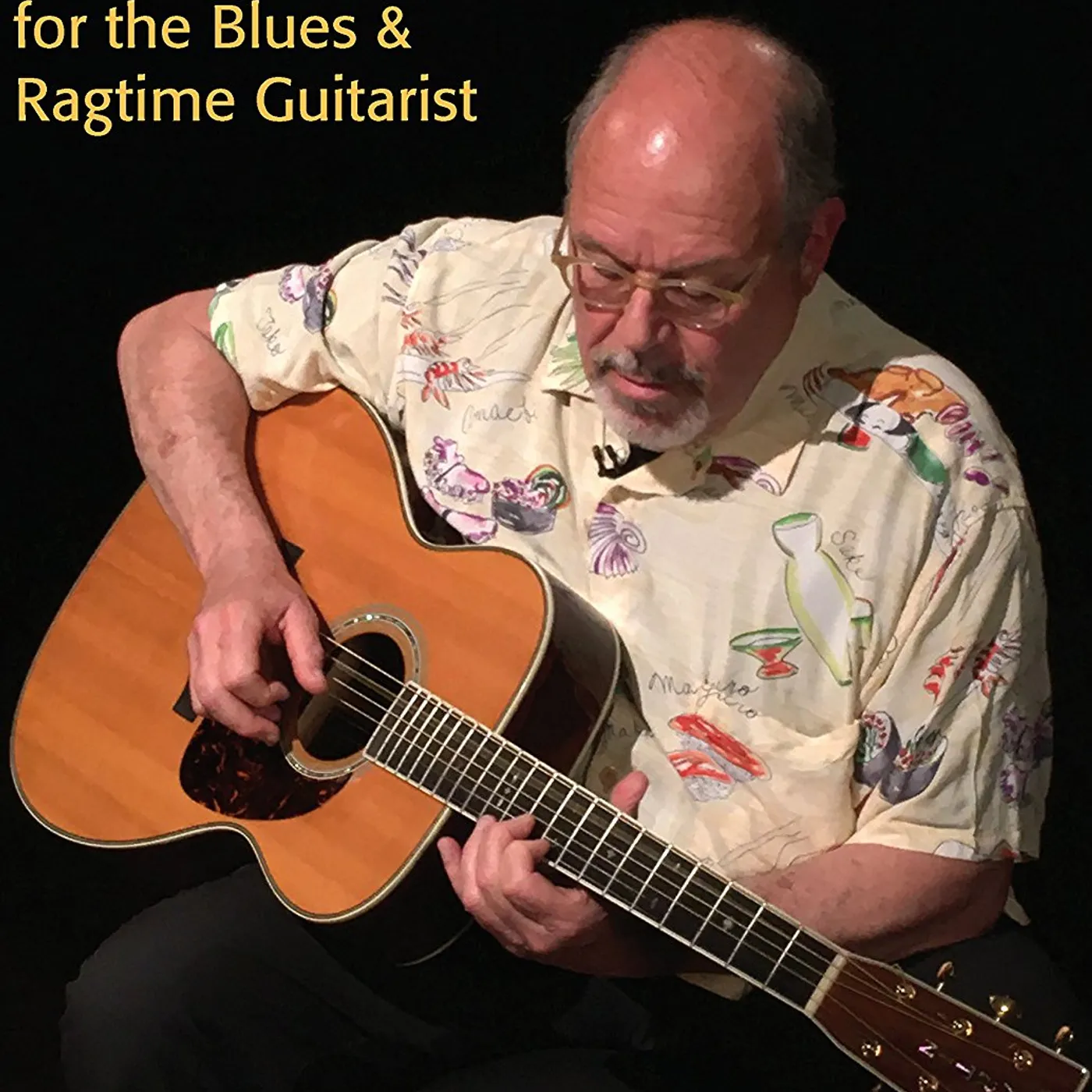 Stefan Grossman FINGERPICKING GUITAR EXERCISES & HOT LICKS DVD