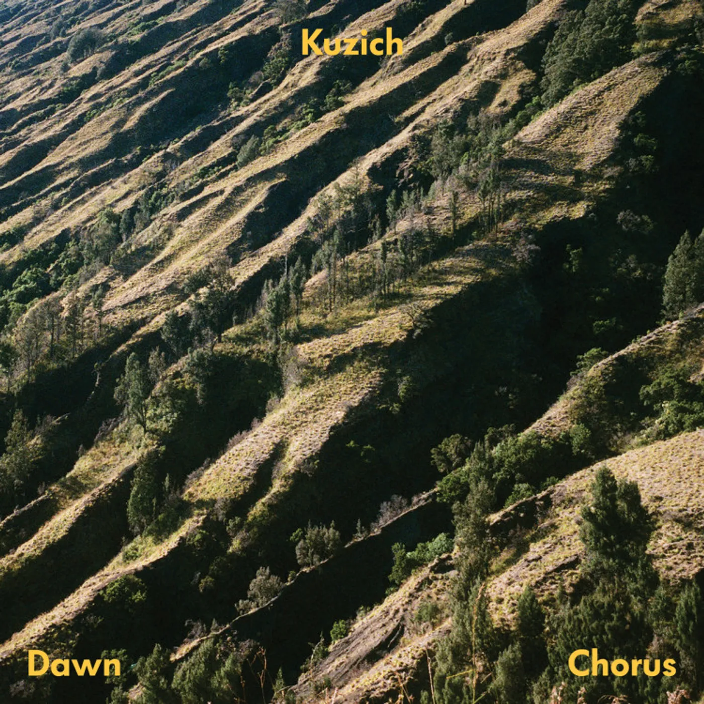 Kuzich Dawn Chorus Vinyl Record