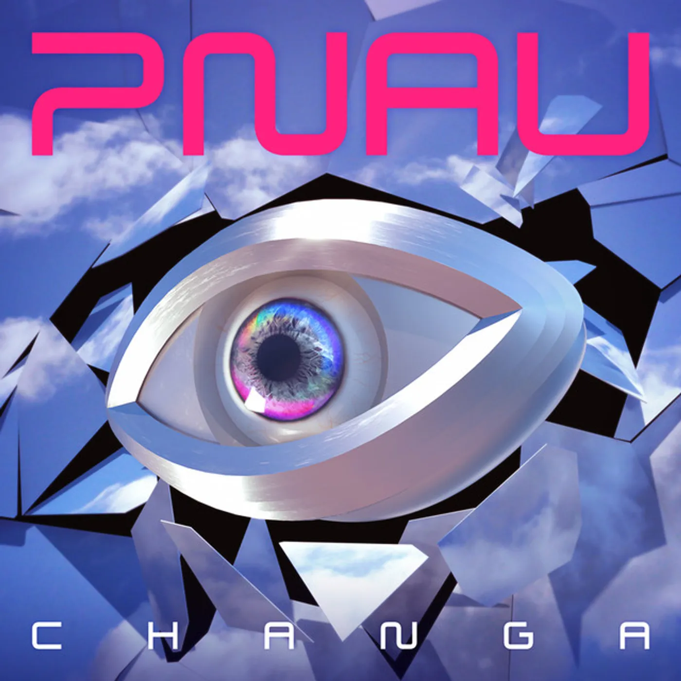 PNAU Changa Vinyl Record