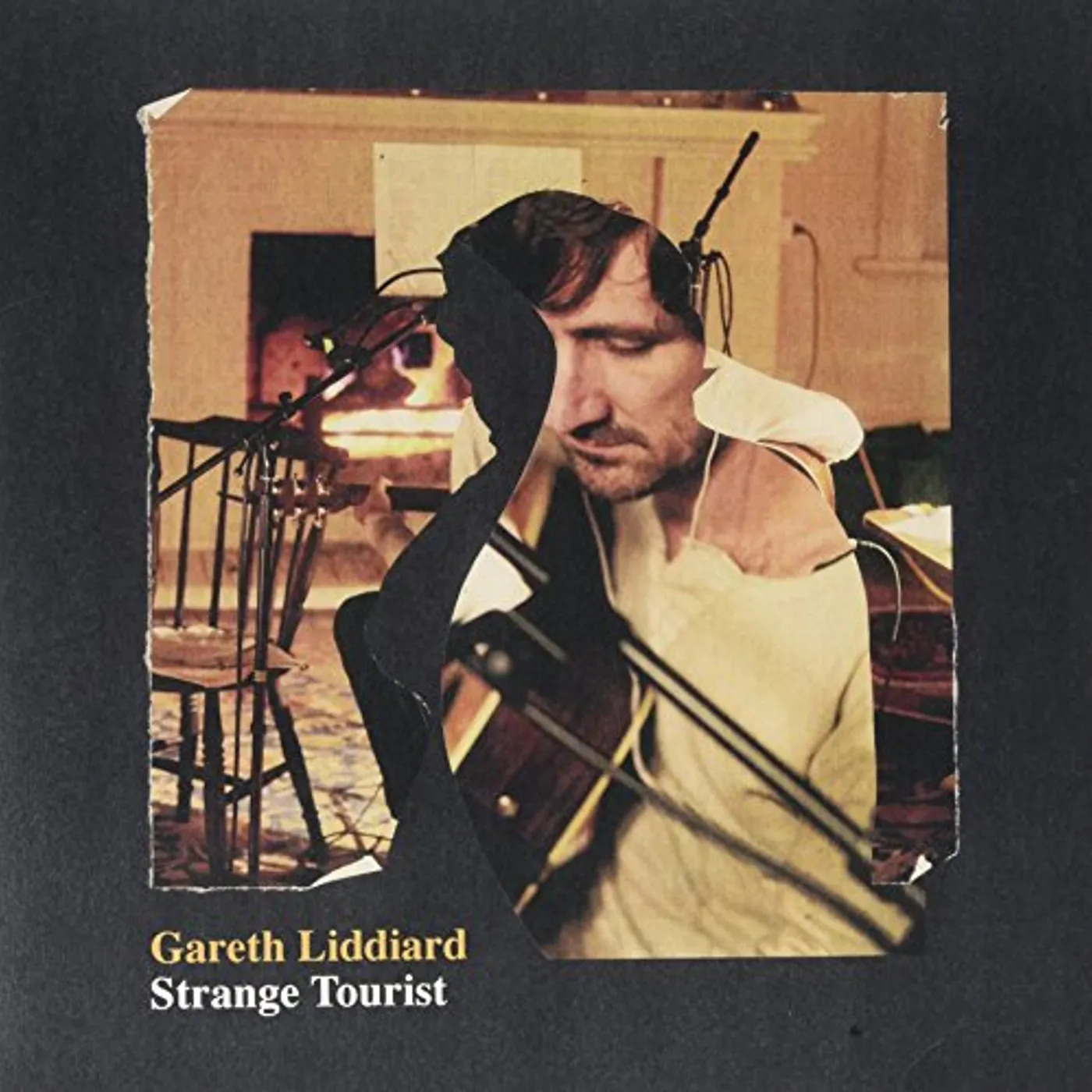 Gareth Liddiard Strange Tourist Vinyl Record