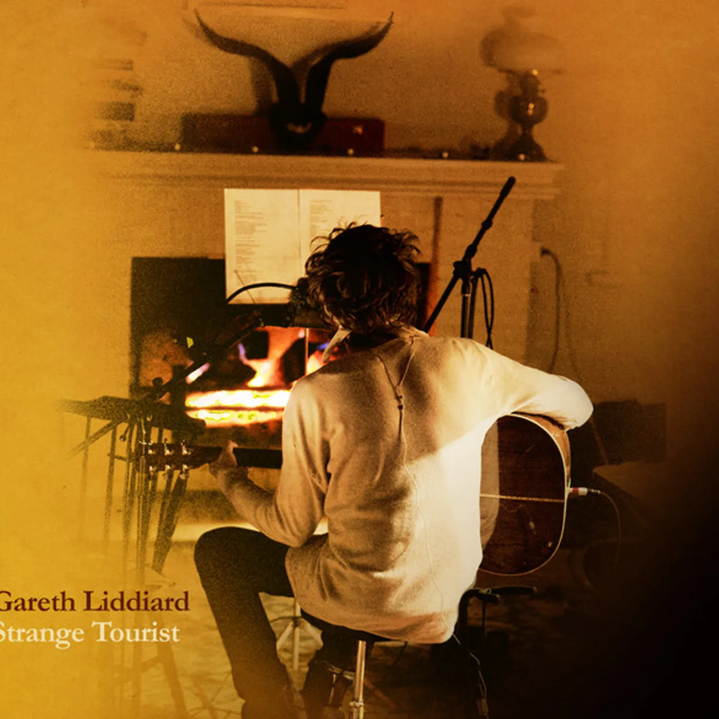 Gareth Liddiard Strange Tourist Vinyl Record