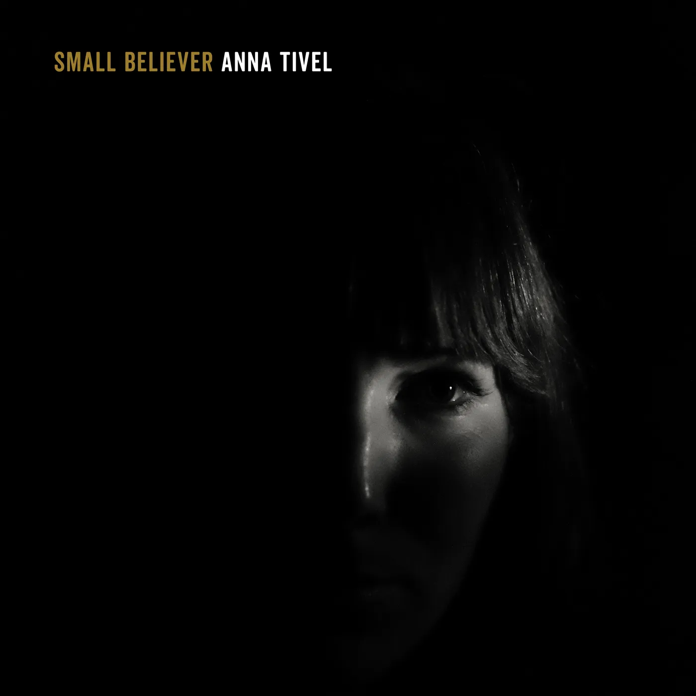 Anna Tivel Small Believer Vinyl Record
