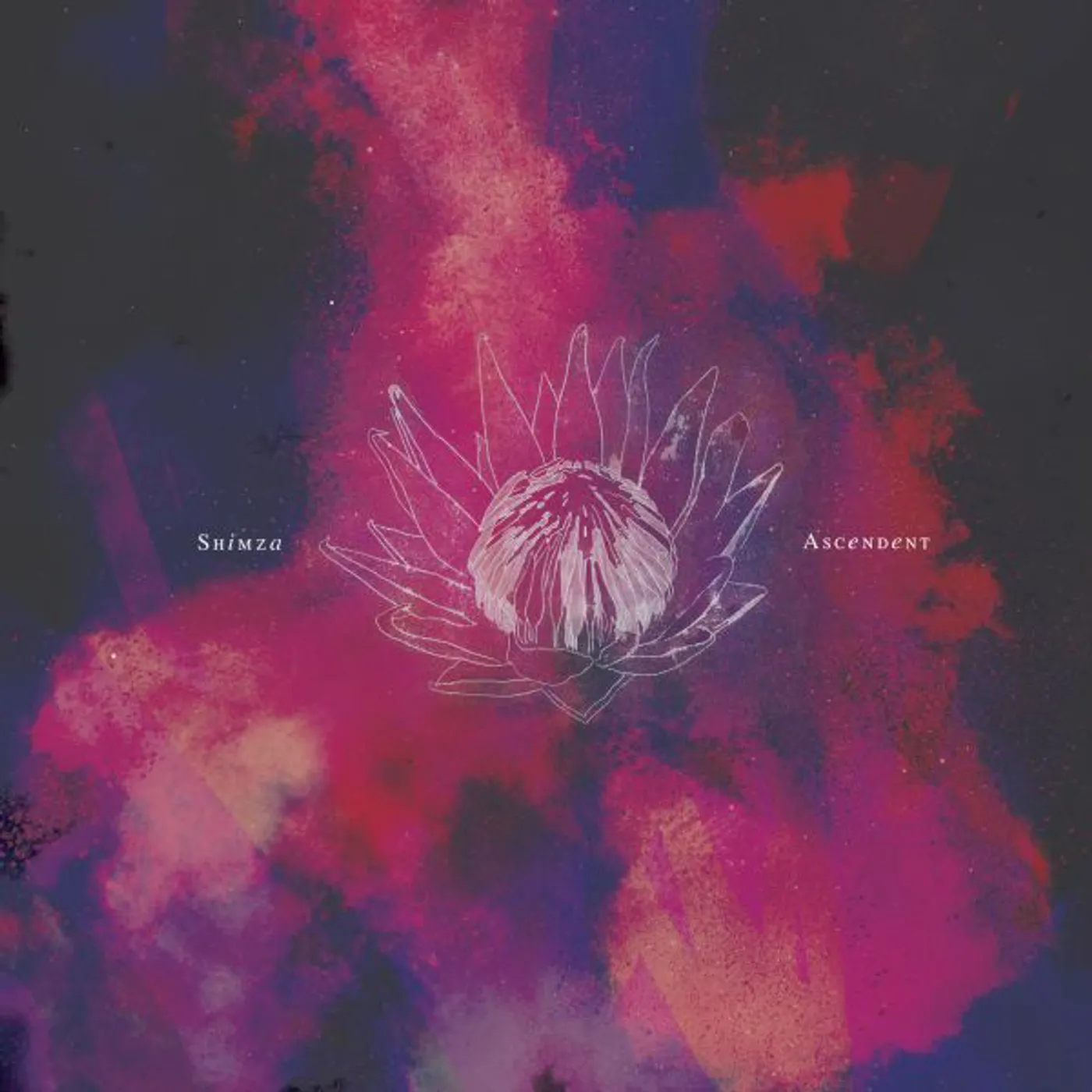 Shimza ASCENDENT Vinyl Record