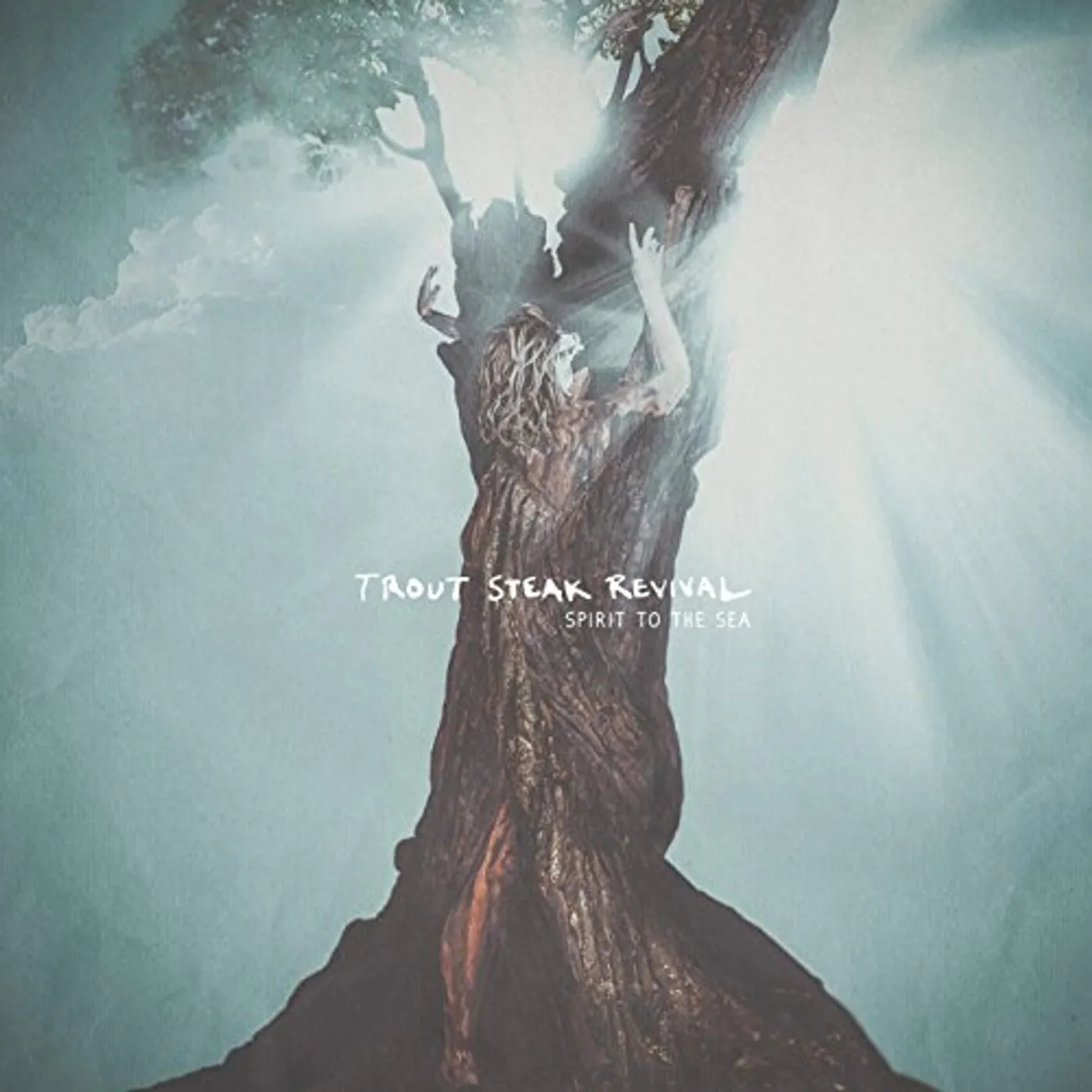 Trout Steak Revival SPIRIT TO THE SEA CD