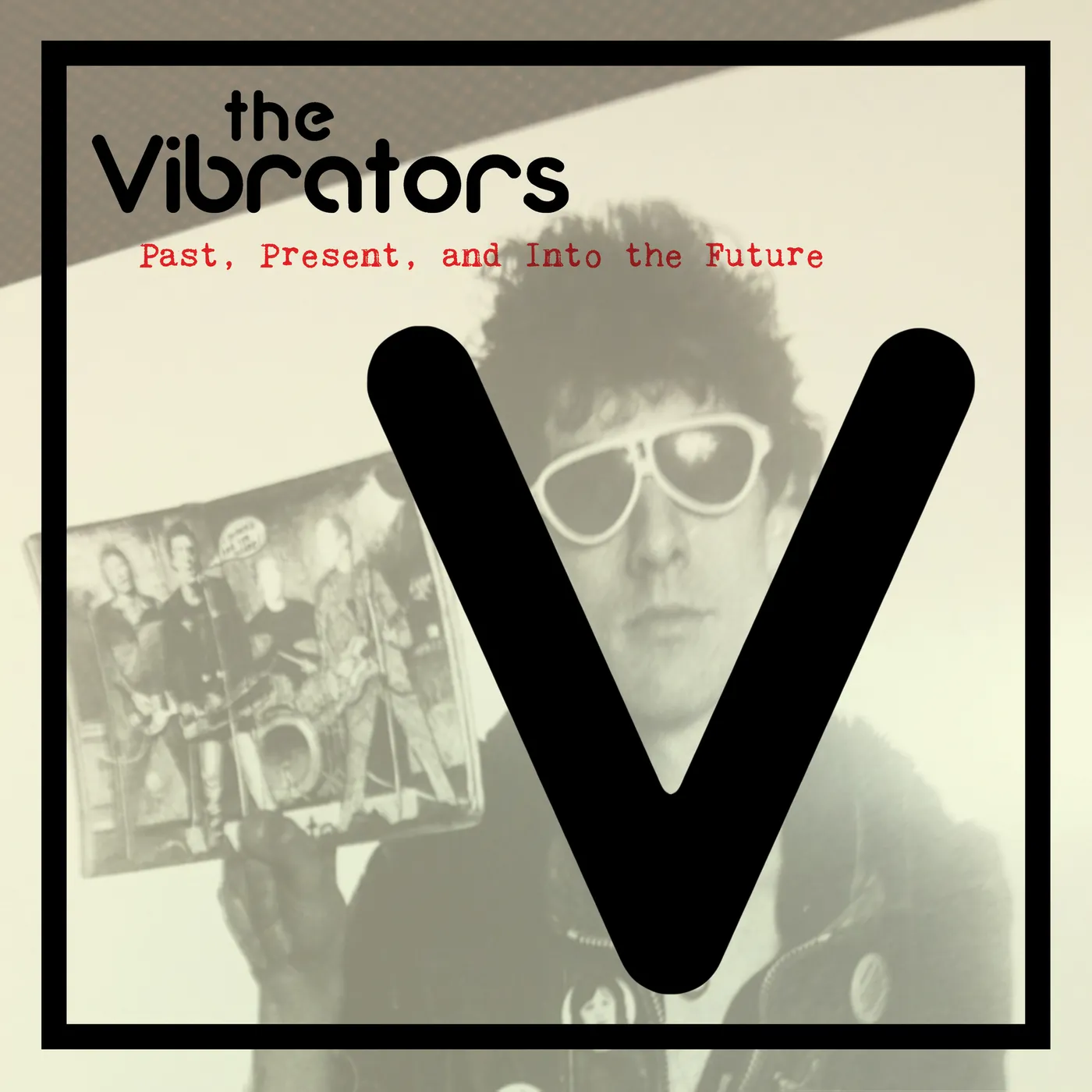 The Vibrators PAST PRESENT AND INTO THE FUTURE CD