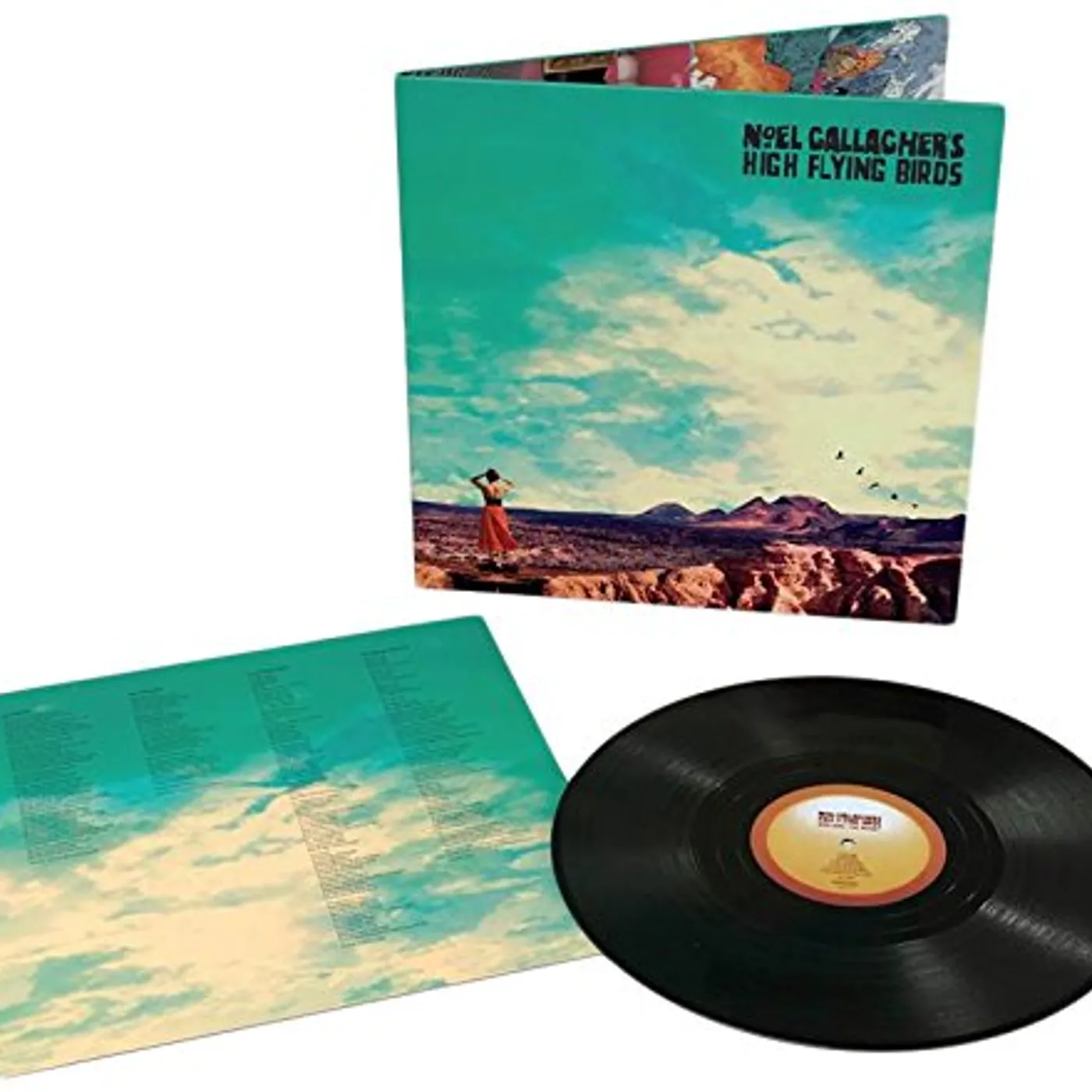 Noel Gallagher's High Flying Birds WHO BUILT THE MOON Vinyl Record