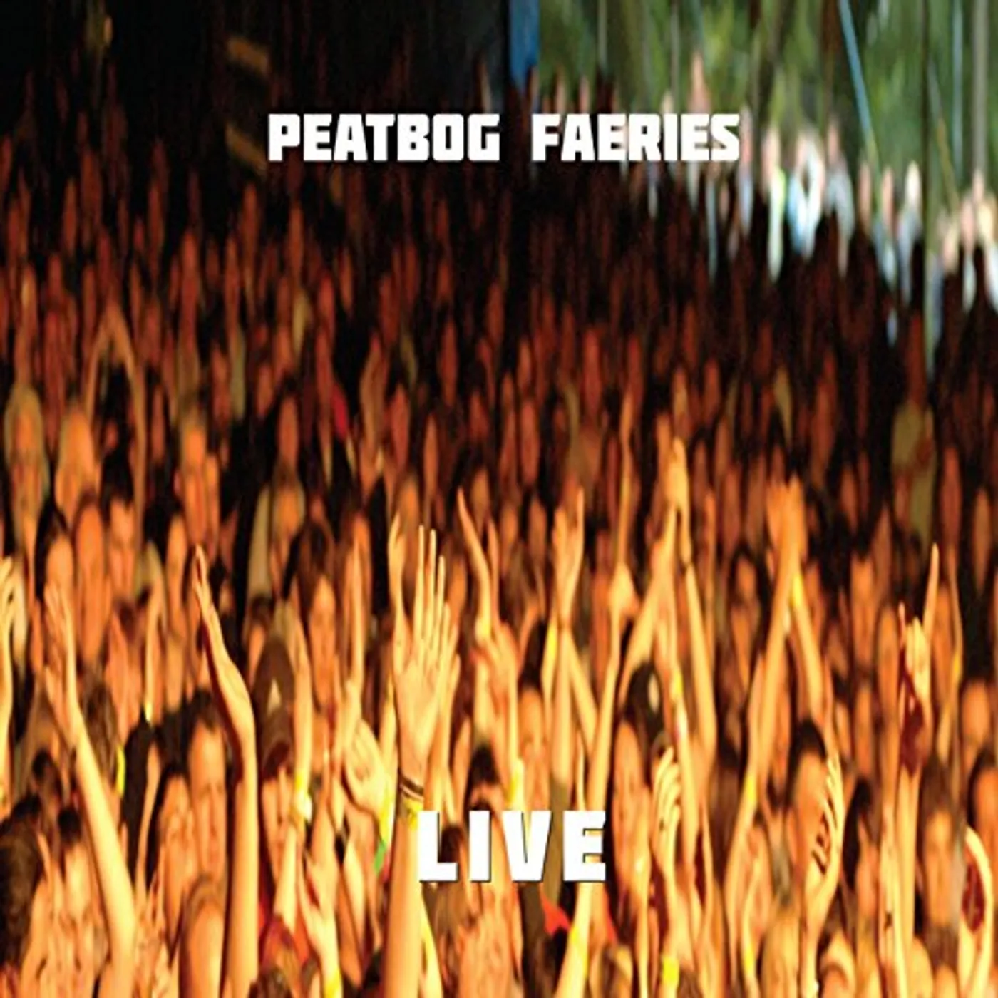 Peatbog Faeries LIVE @ 25 CD