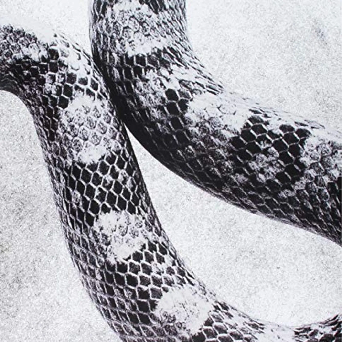 Noah Gundersen I'M ALRIGHT / FINE Vinyl Record