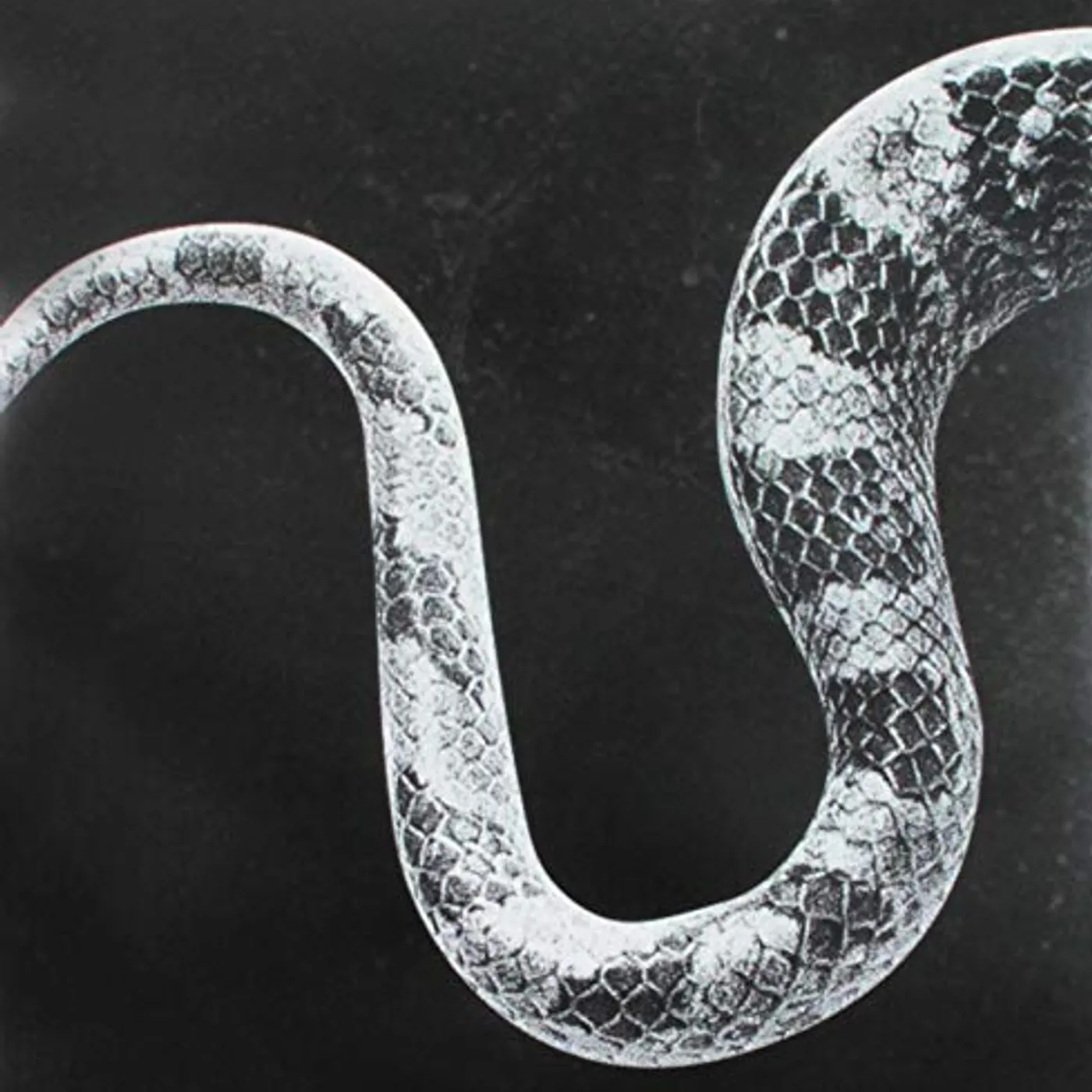 Noah Gundersen SENTIMENTAL KIDS Vinyl Record