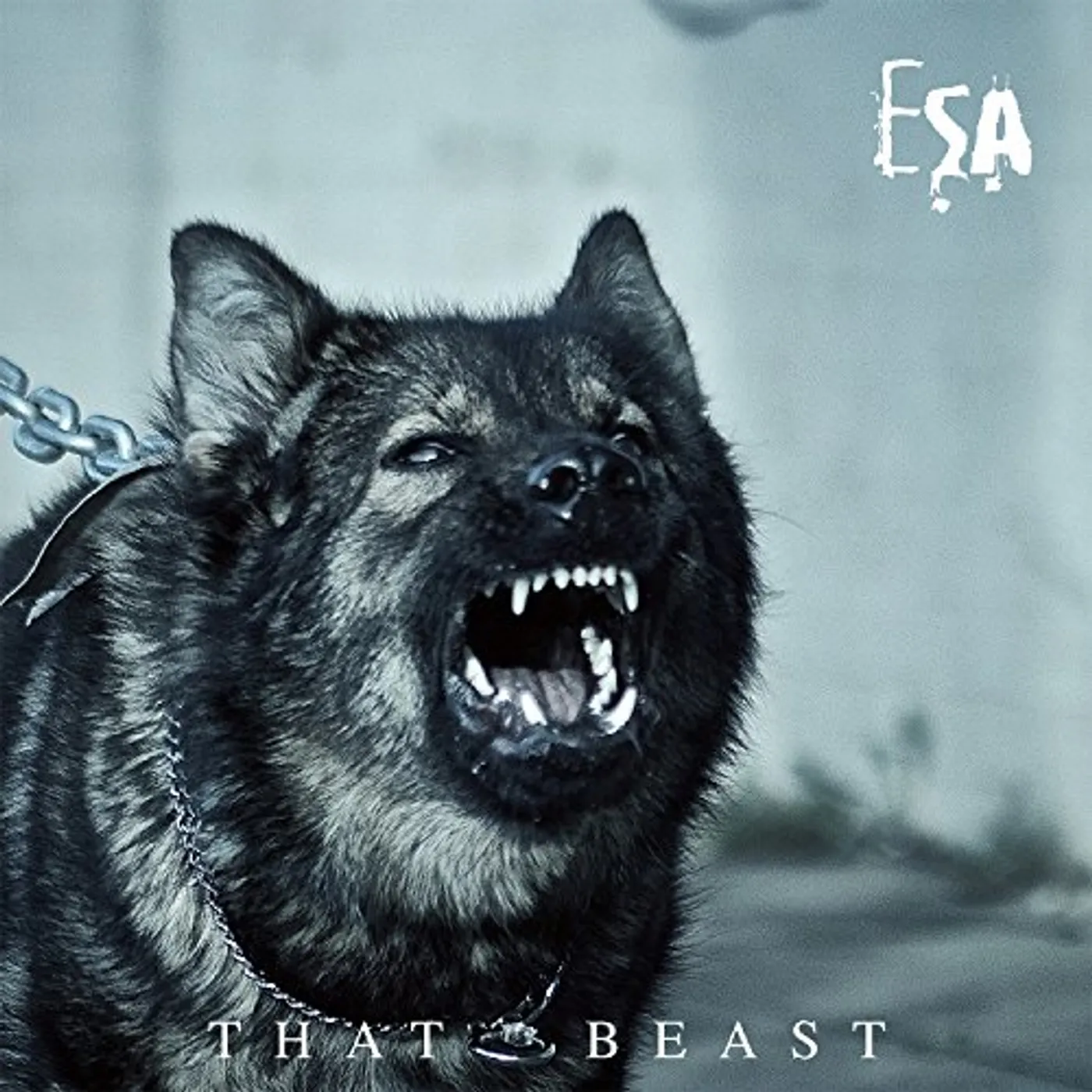 Esa THAT BEAST CD