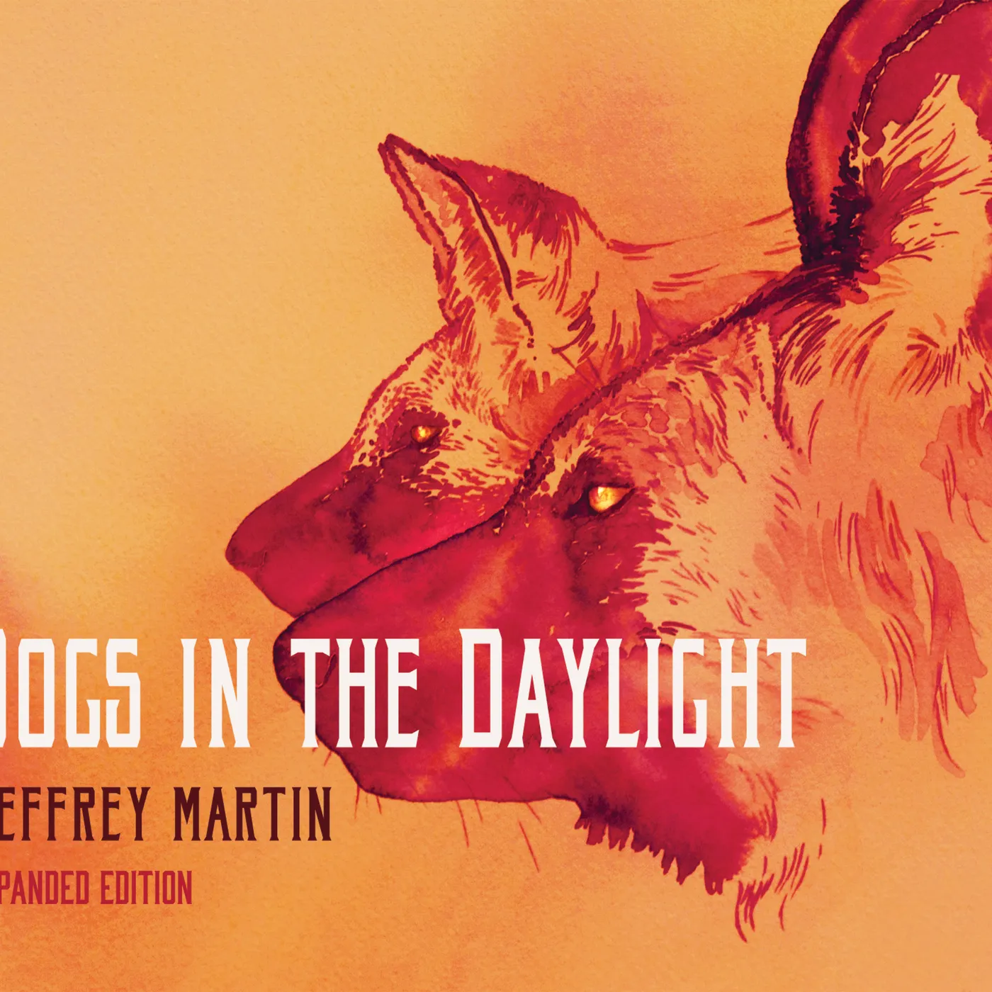 Jeffrey Martin DOGS IN THE DAYLIGHT (EXPANDED EDITION) CD
