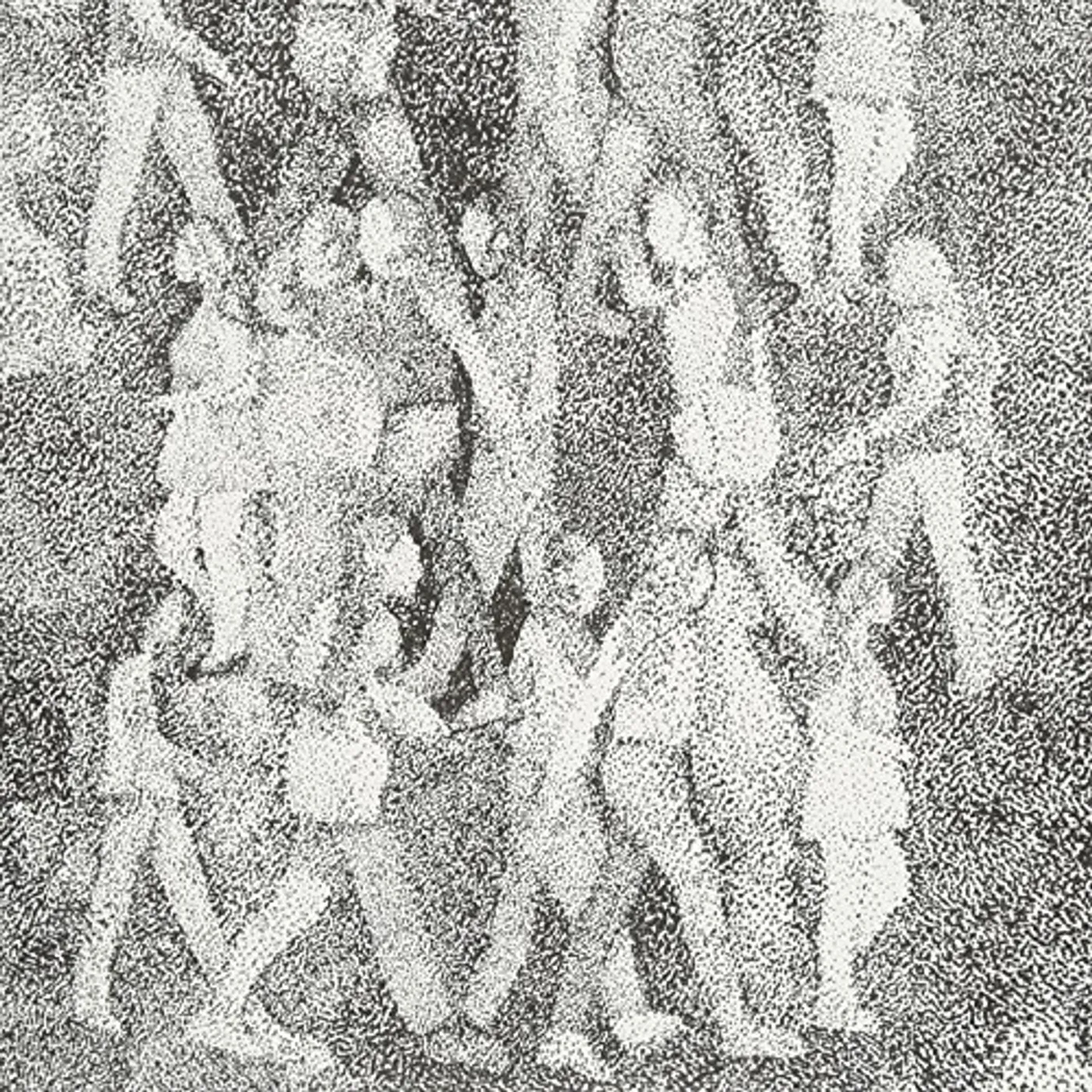 Cadáver em Transe Vinyl Record