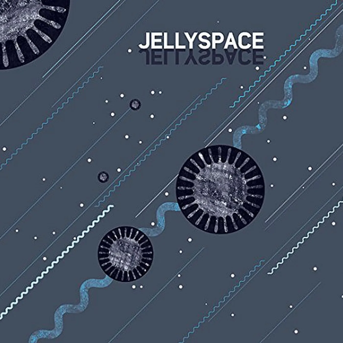 Mikolaj Trzaska JELLYSPACE Vinyl Record